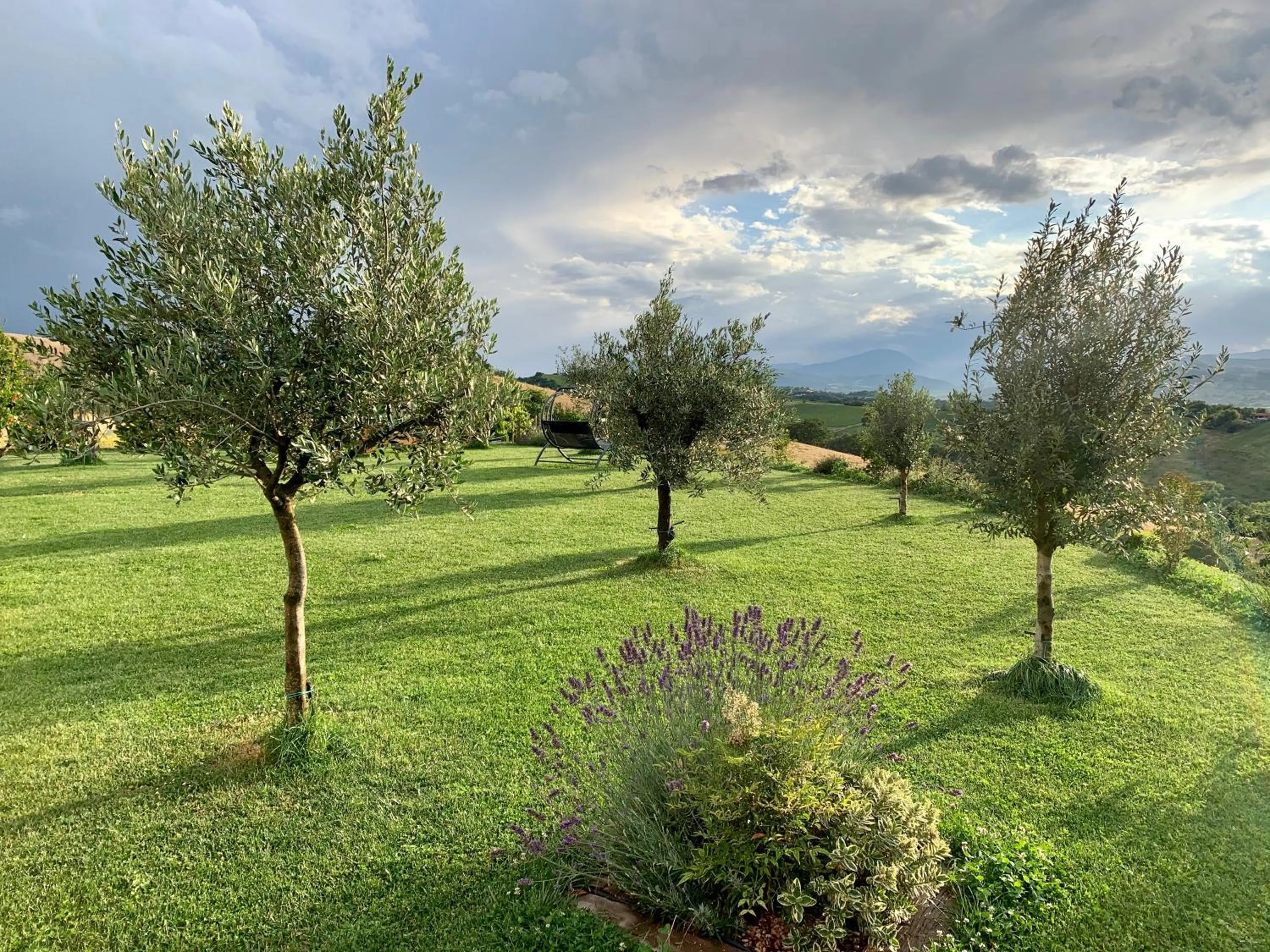 Garden in B&B La Casa Del Sole