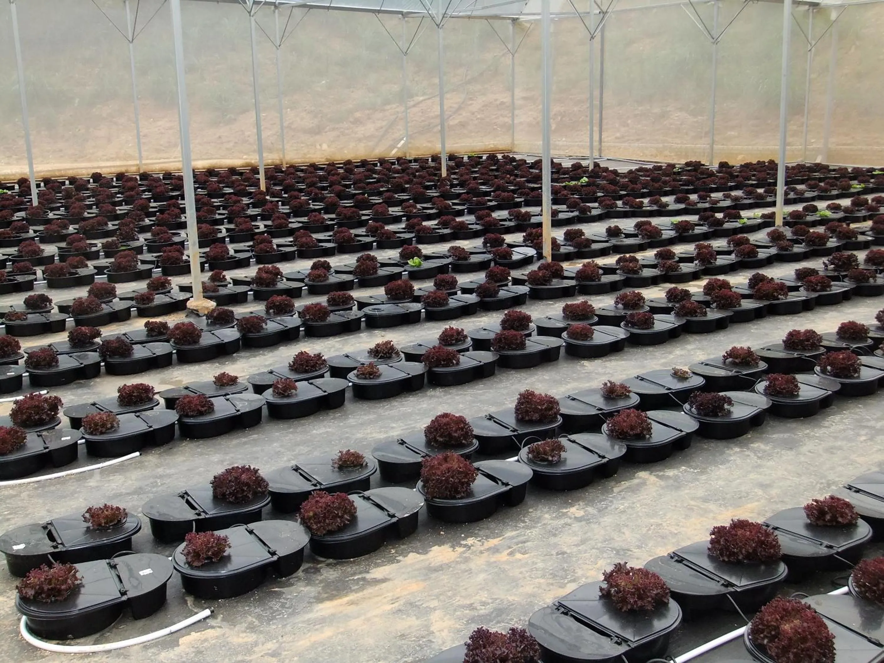 Food in Moonriver Lodge