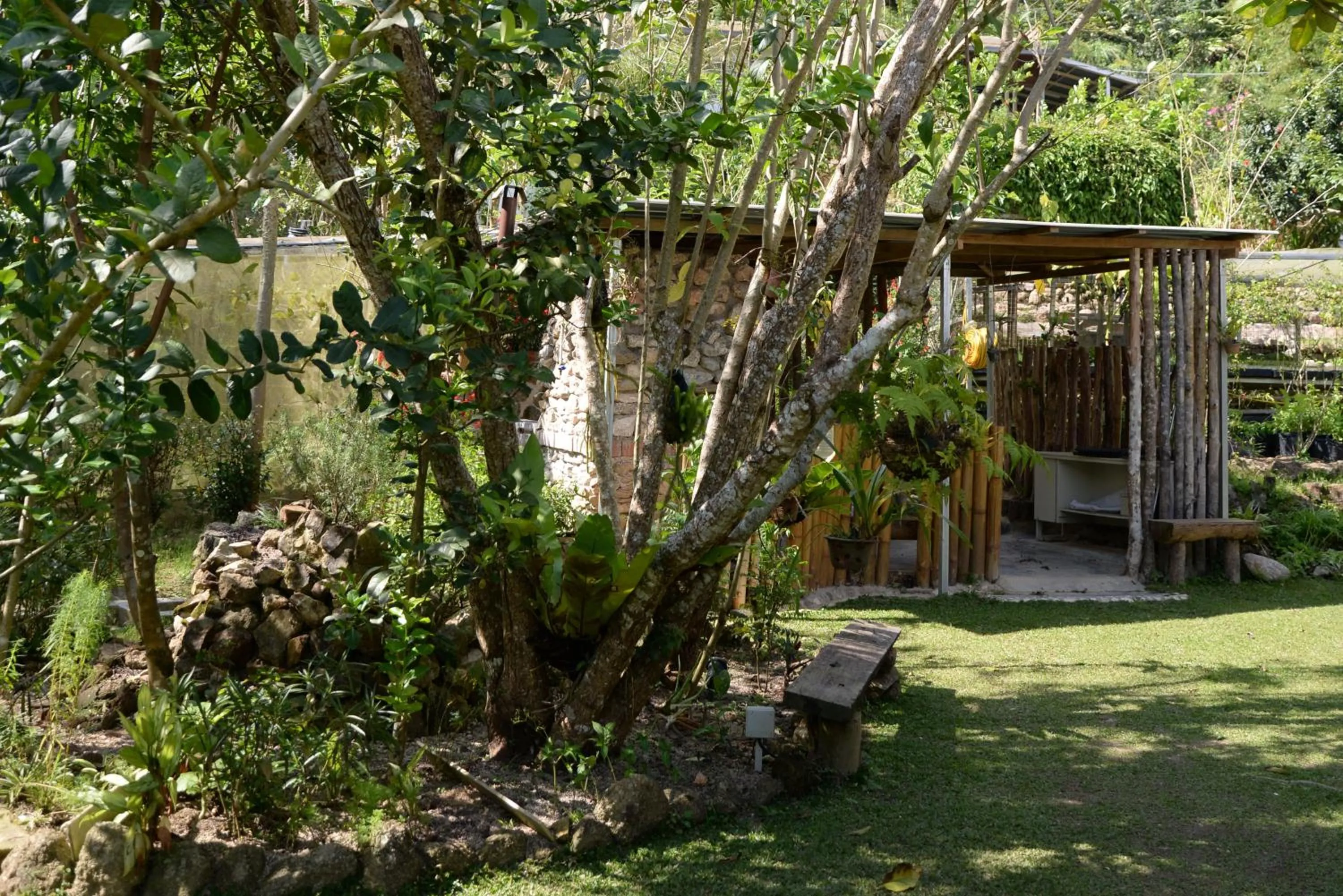 Day in Moonriver Lodge