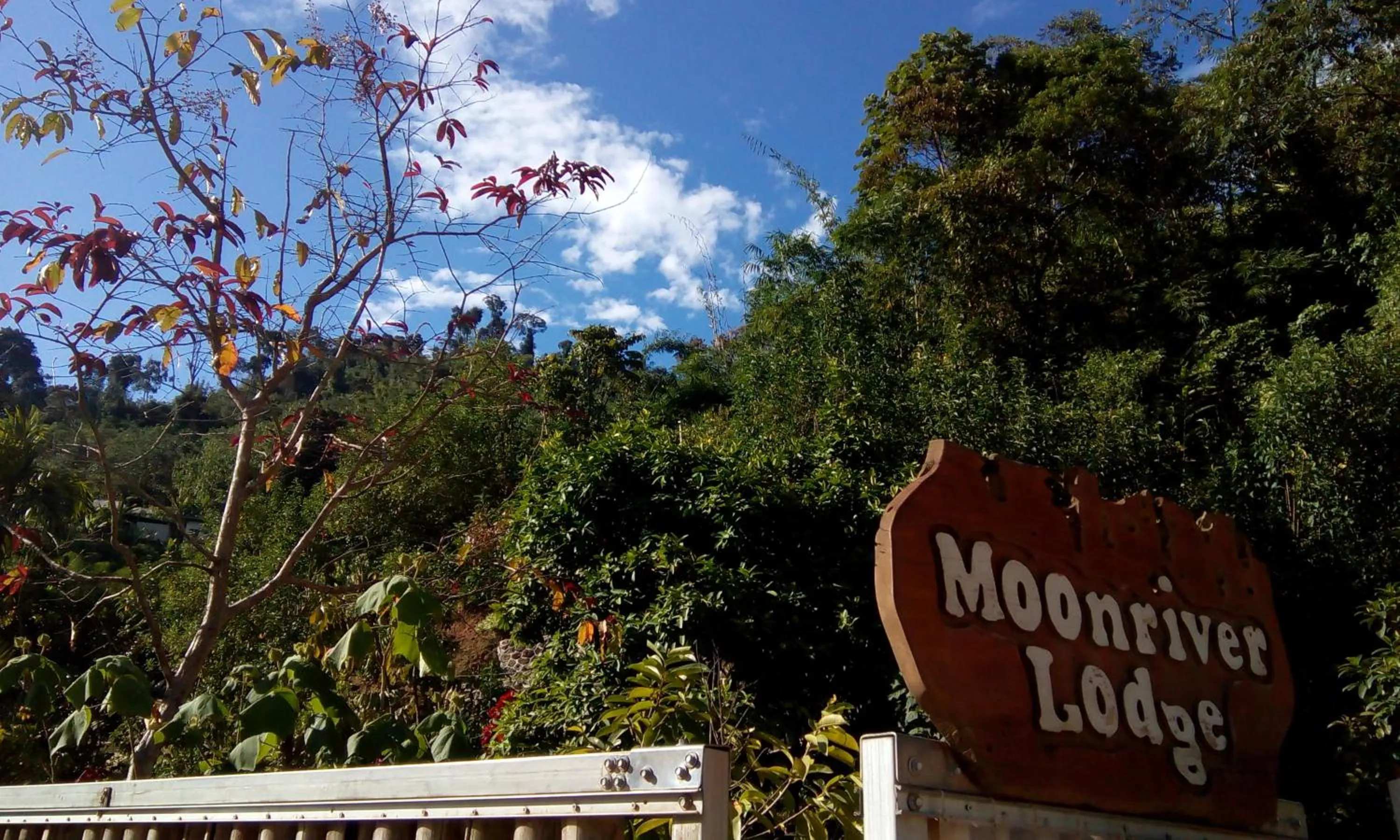 Facade/entrance in Moonriver Lodge