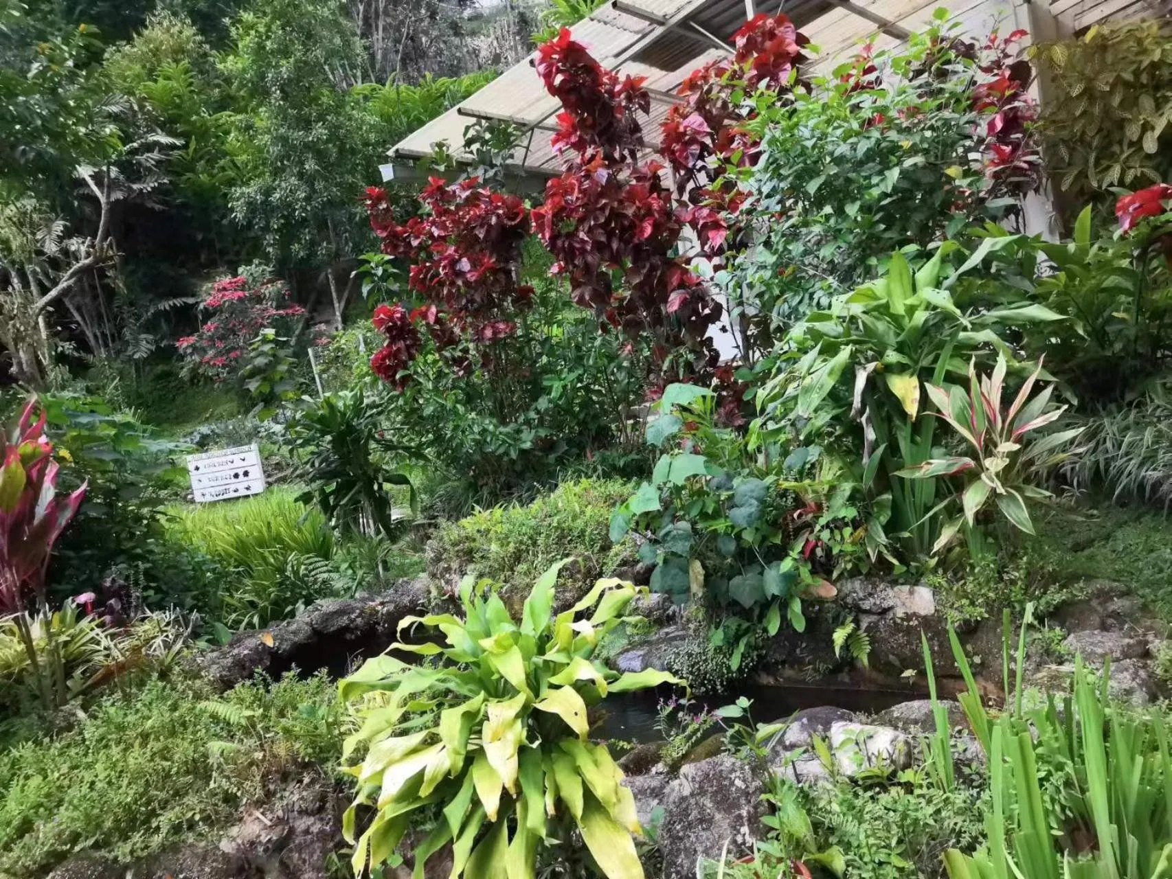 Garden in Moonriver Lodge