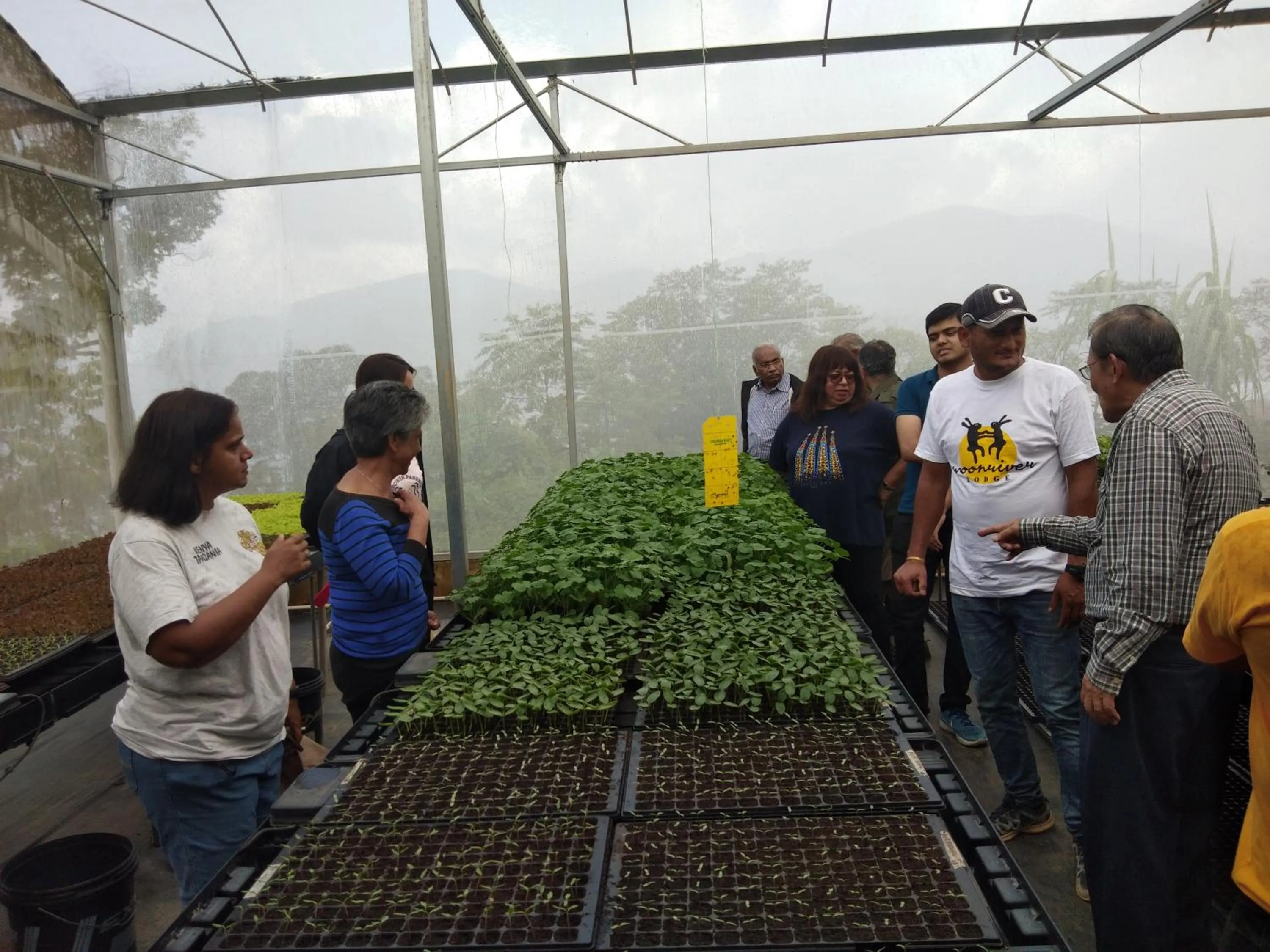 Activities in Moonriver Lodge