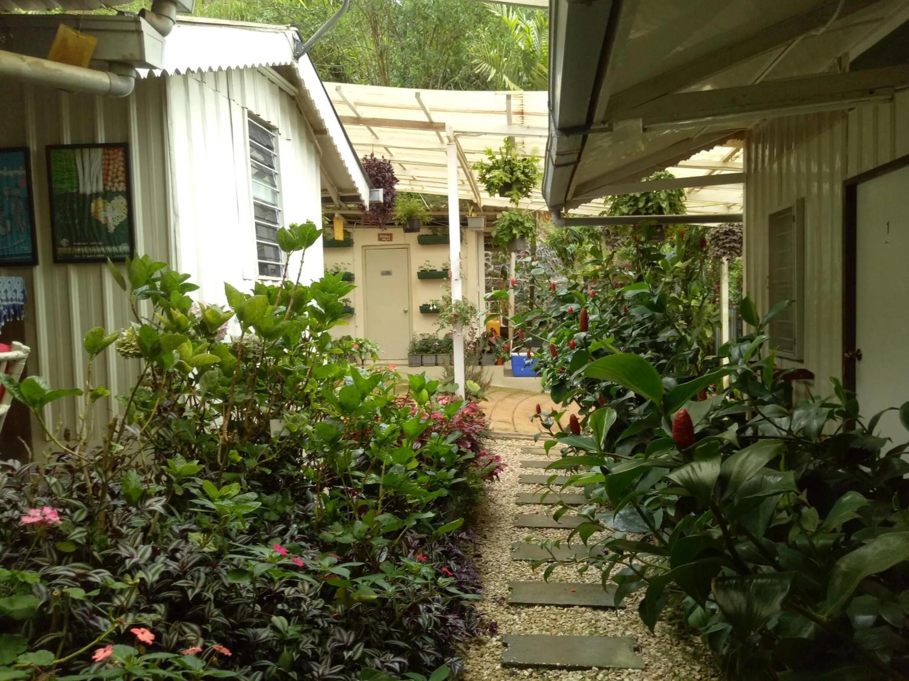 Day in Moonriver Lodge