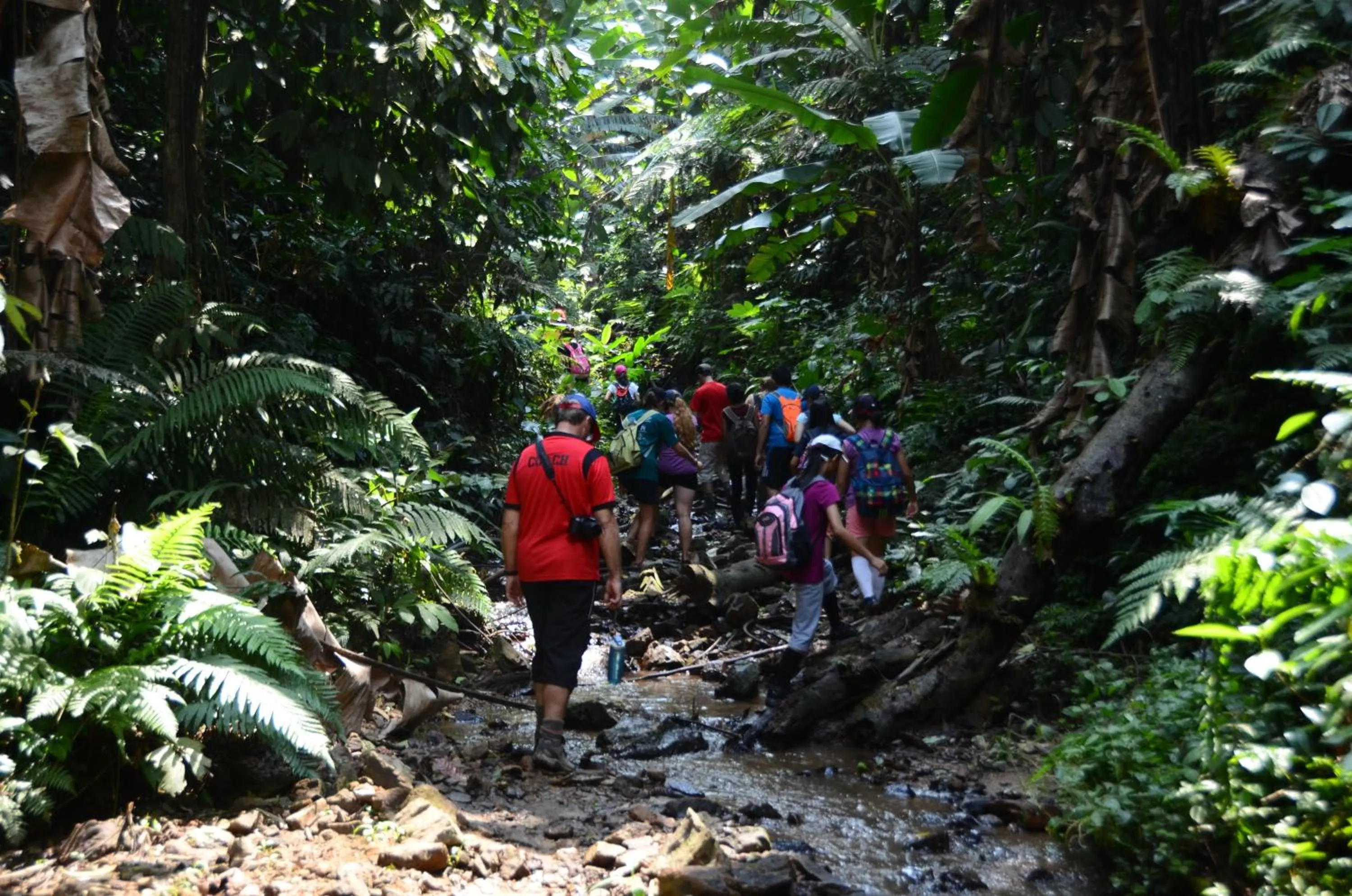 Day in Moonriver Lodge