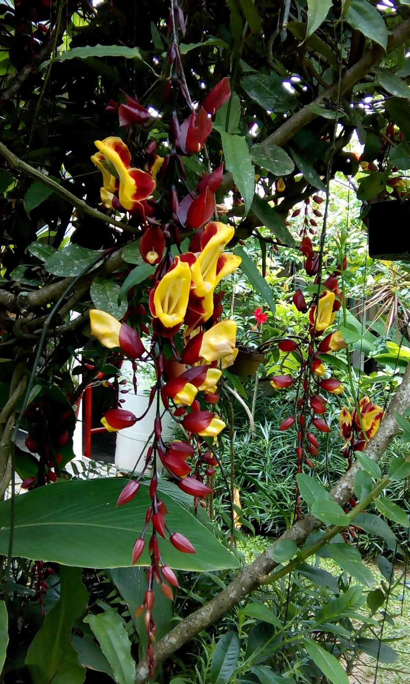 Day in Moonriver Lodge