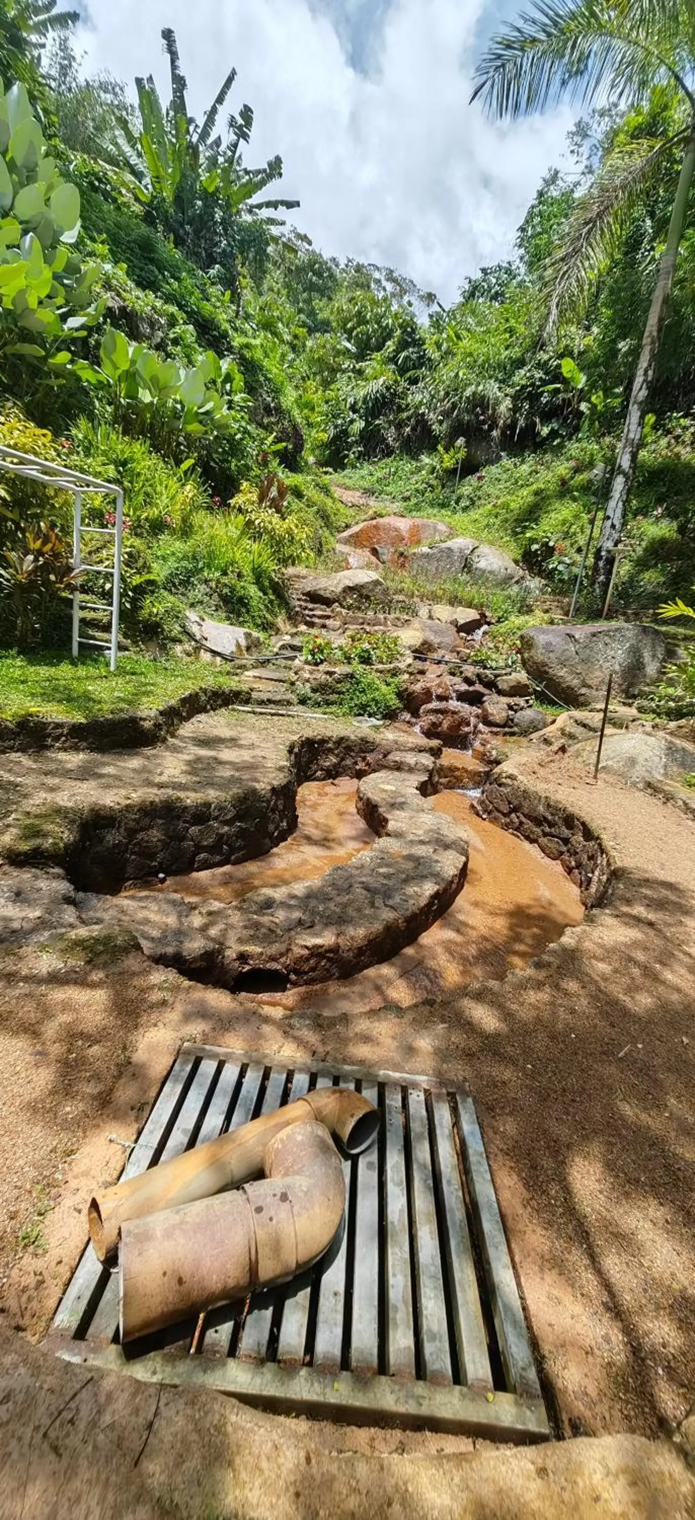 Spring in Moonriver Lodge