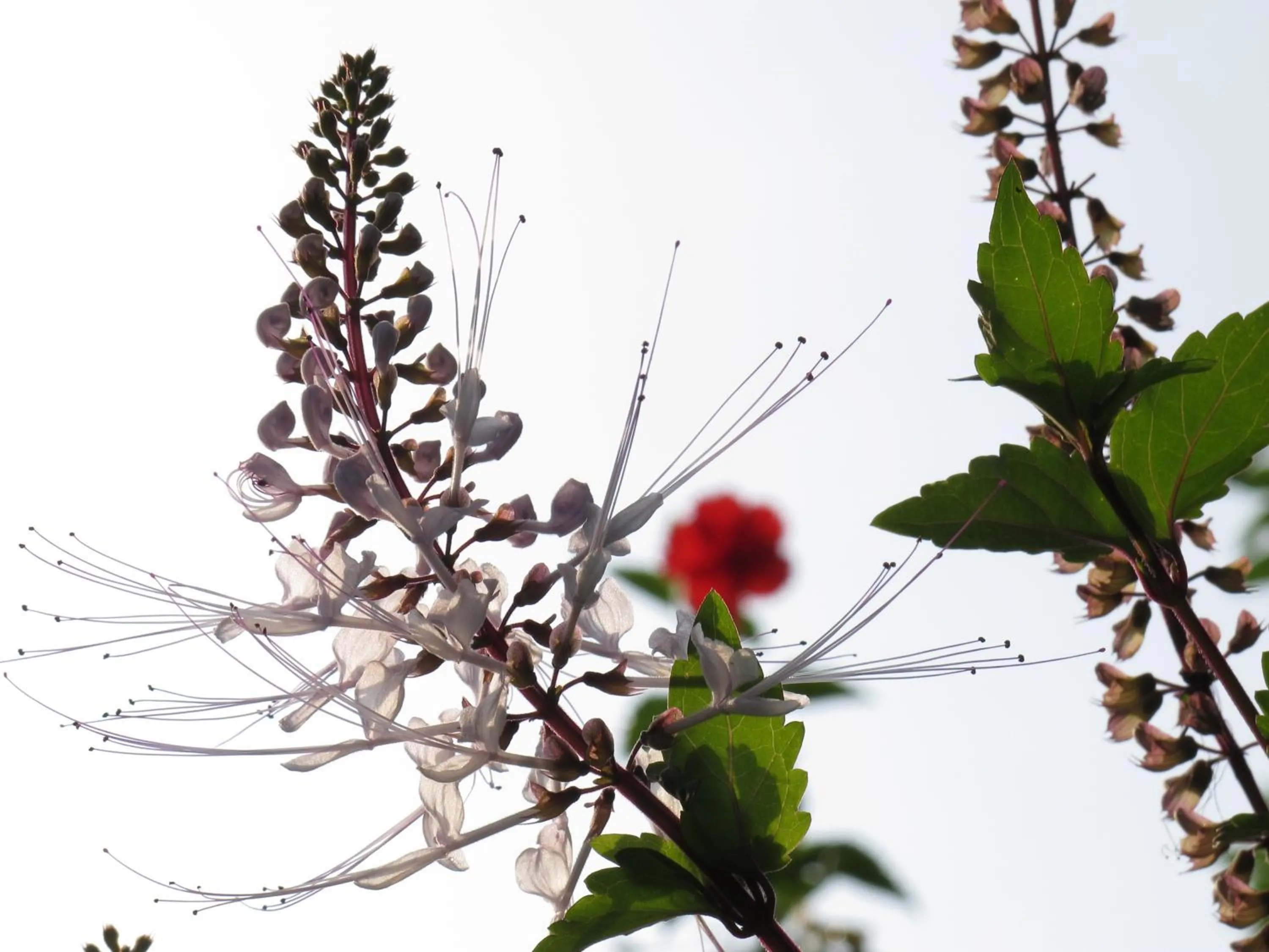 Other in Moonriver Lodge