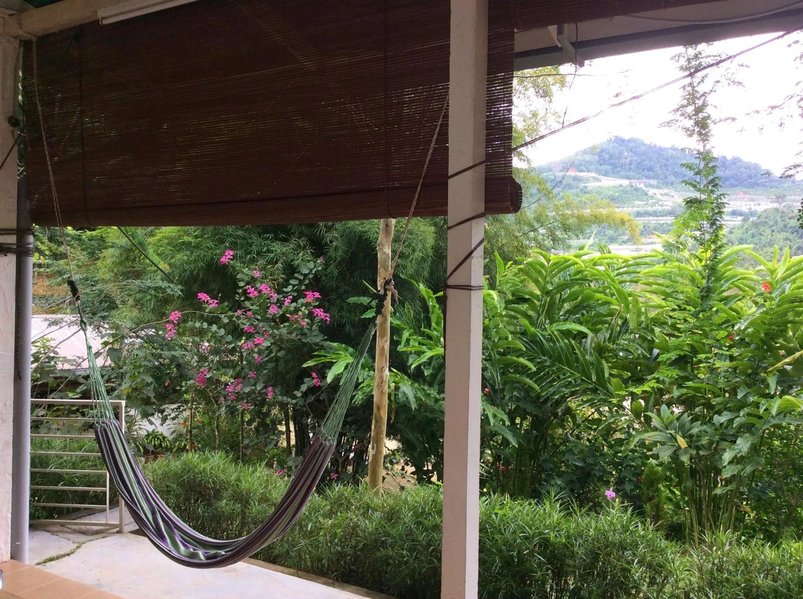 Mountain view in Moonriver Lodge