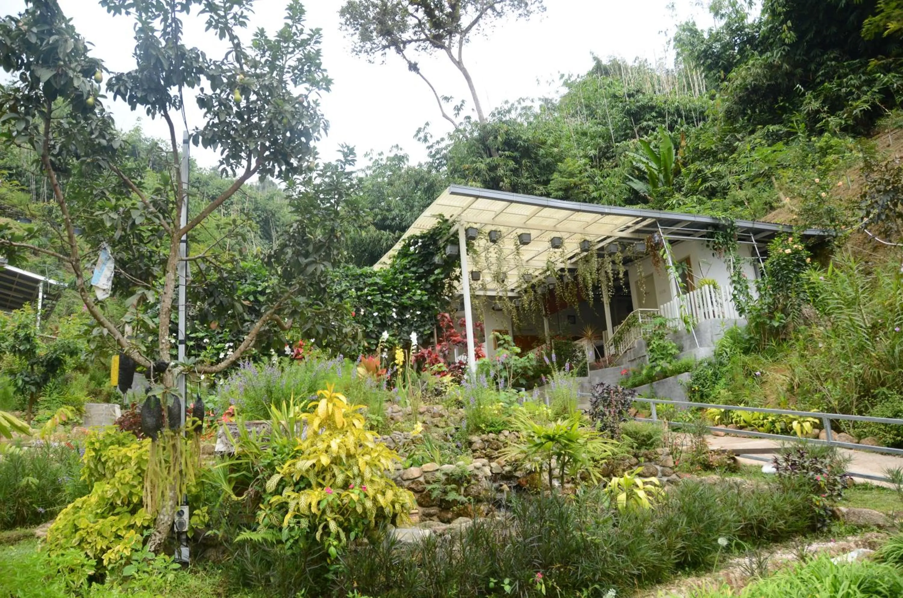 Property building in Moonriver Lodge