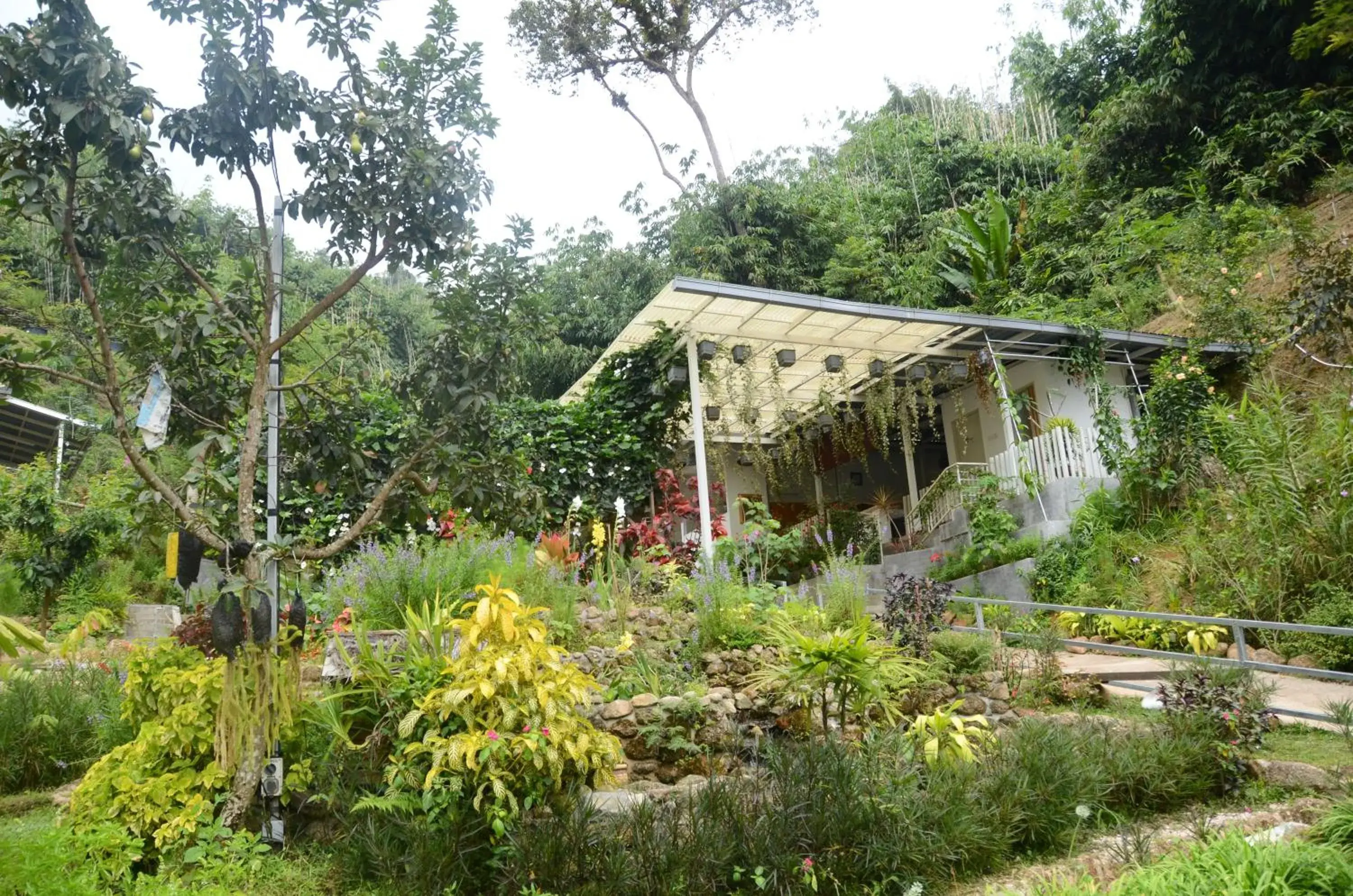 Property building in Moonriver Lodge Property building in Moonriver Lodge