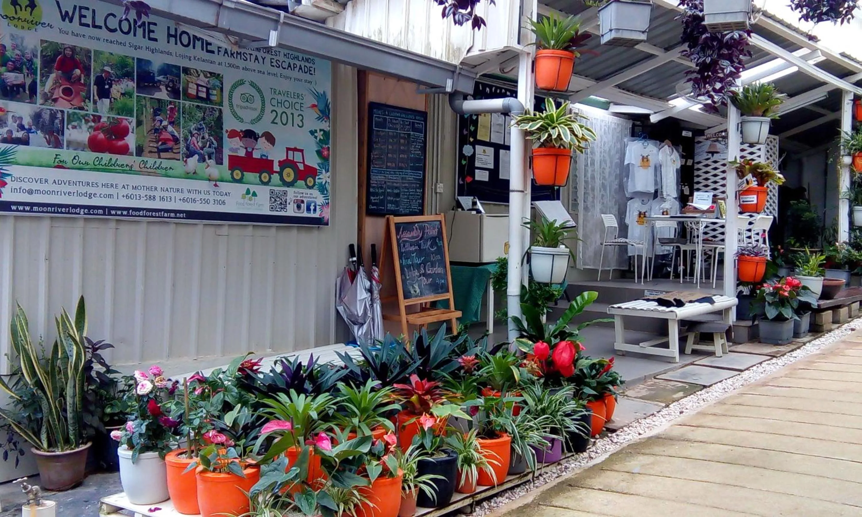 Lobby or reception in Moonriver Lodge