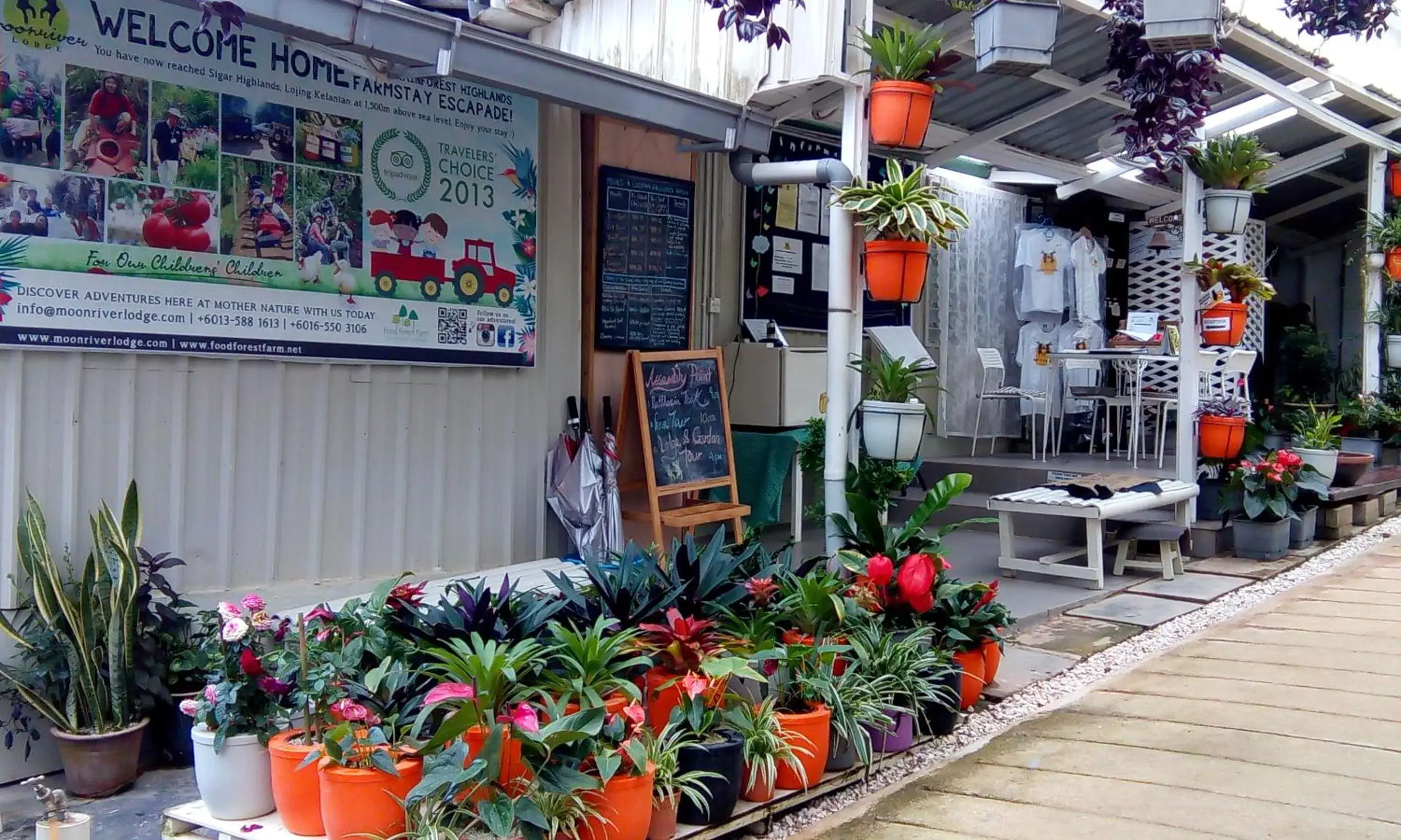 Lobby or reception in Moonriver Lodge Lobby or reception in Moonriver Lodge