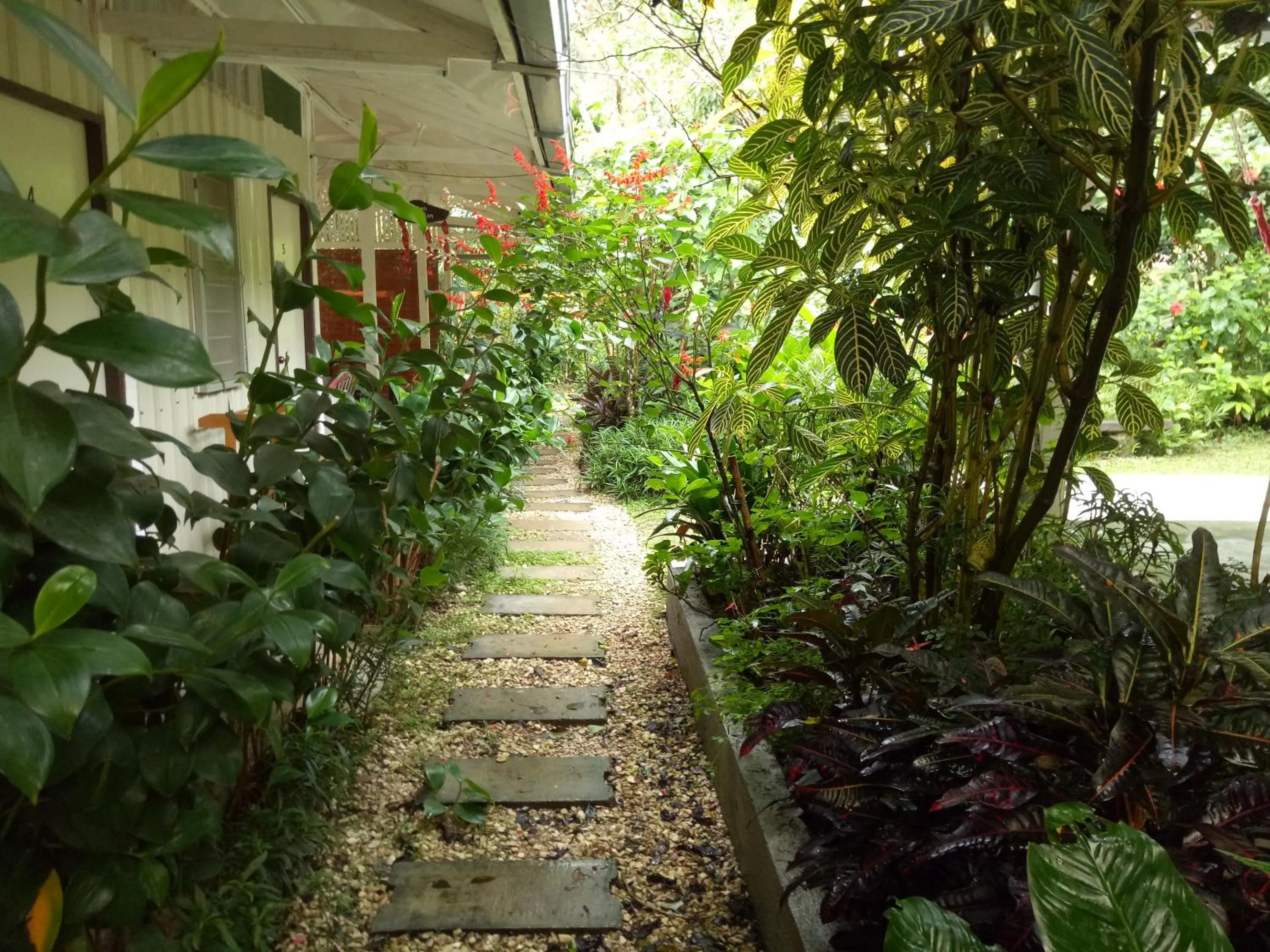 Garden in Moonriver Lodge