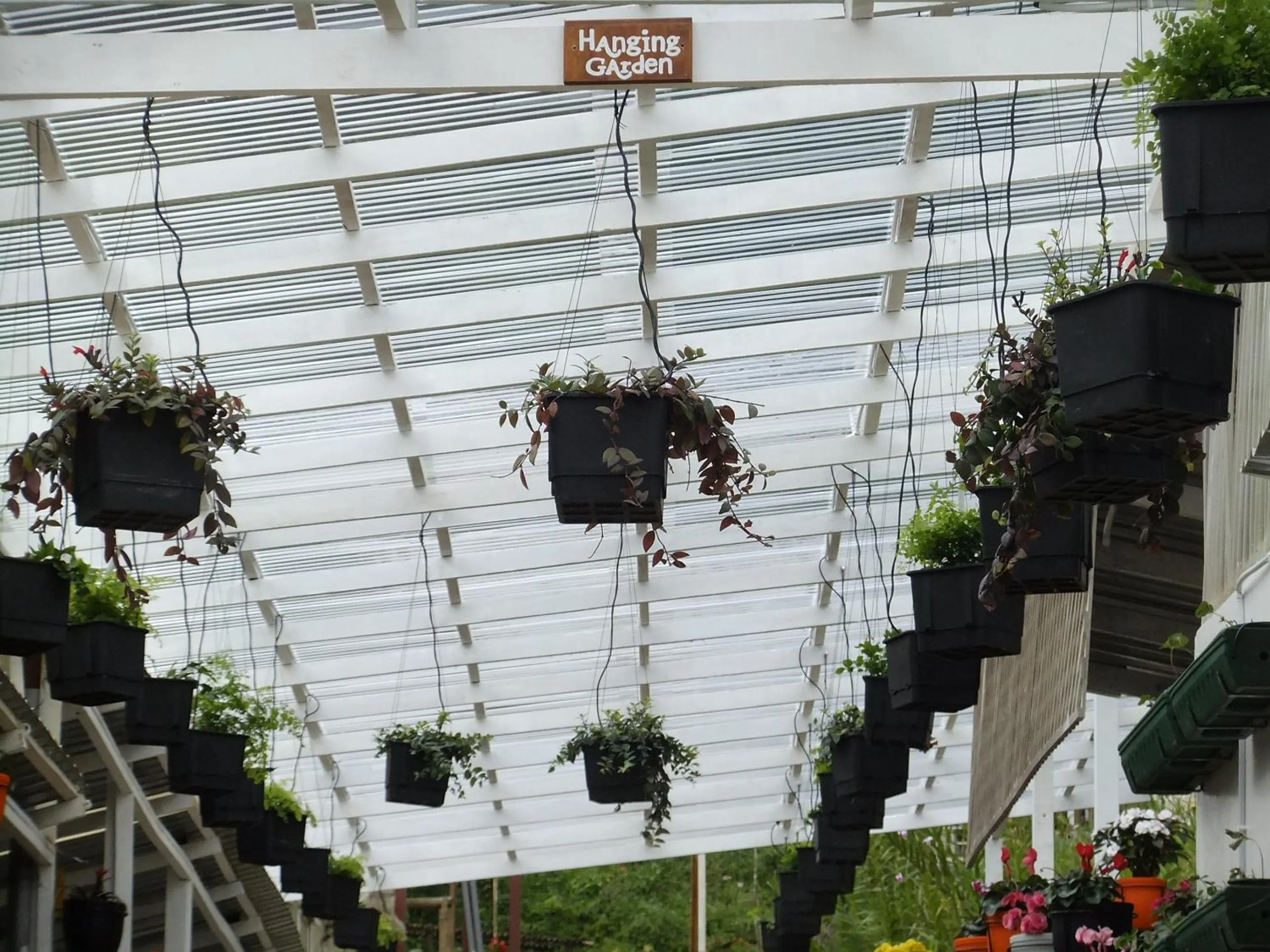 Garden in Moonriver Lodge