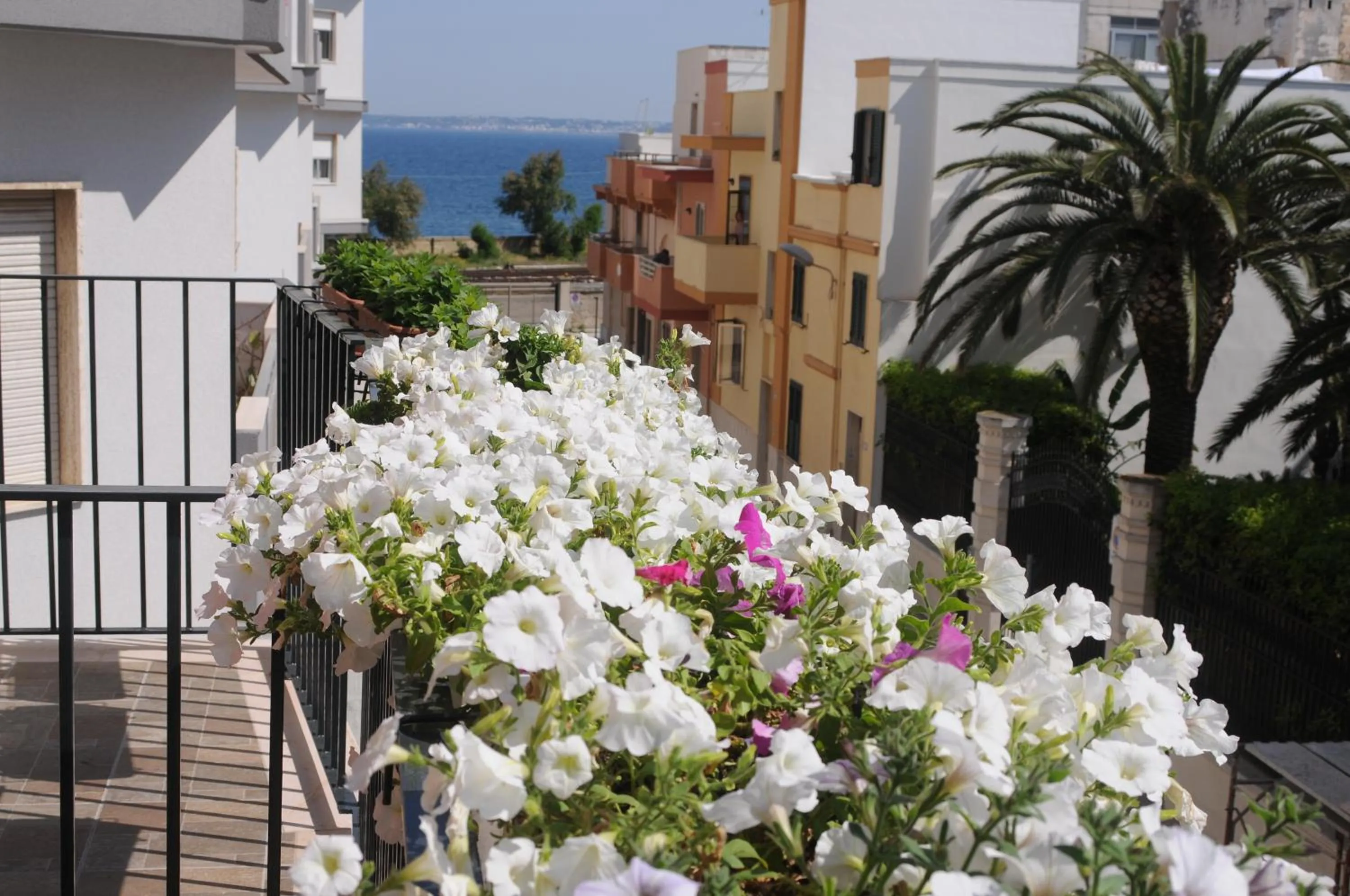 Day in L'Uomo e il Mare