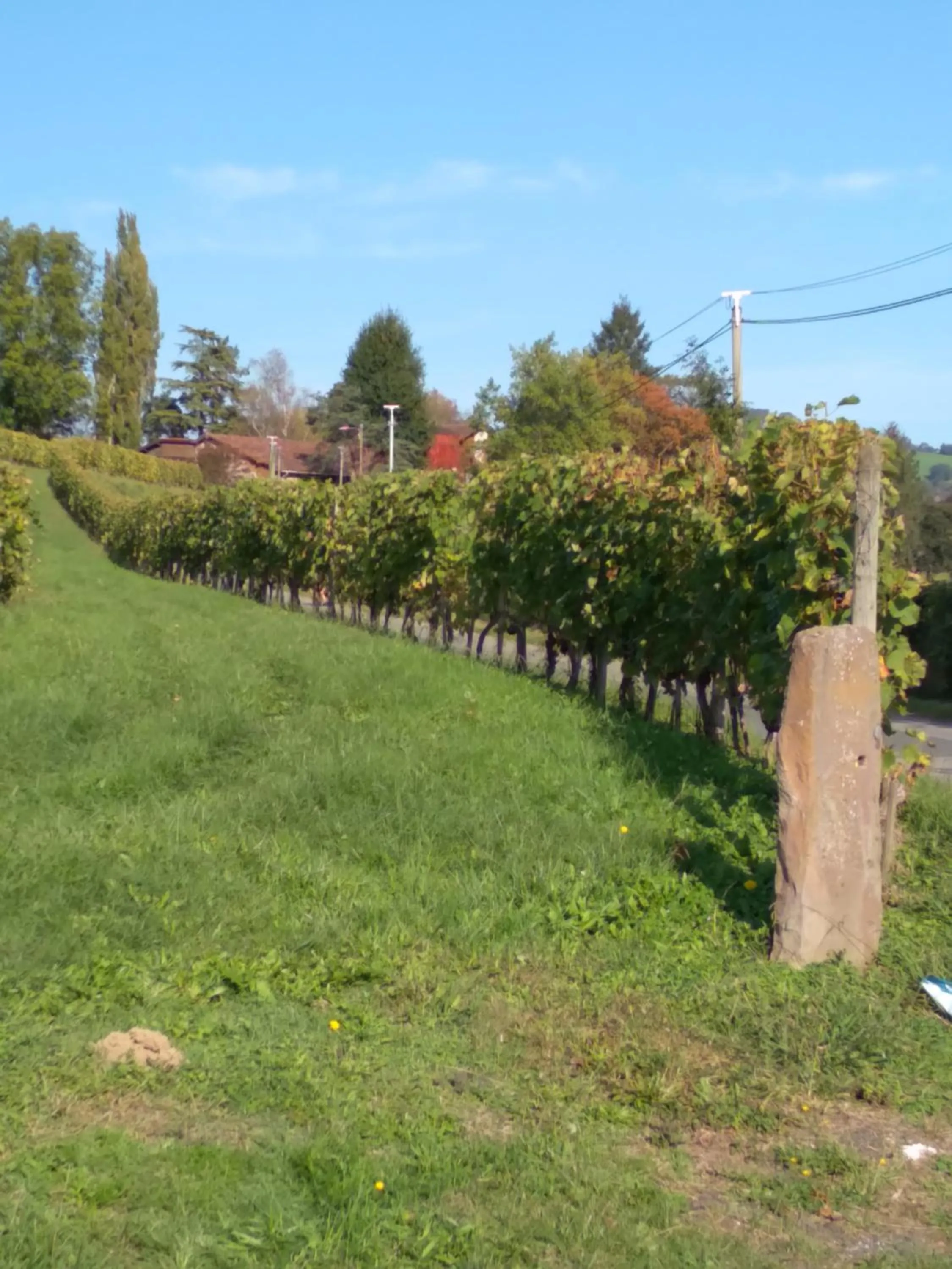 Natural landscape in Hôtel Camou