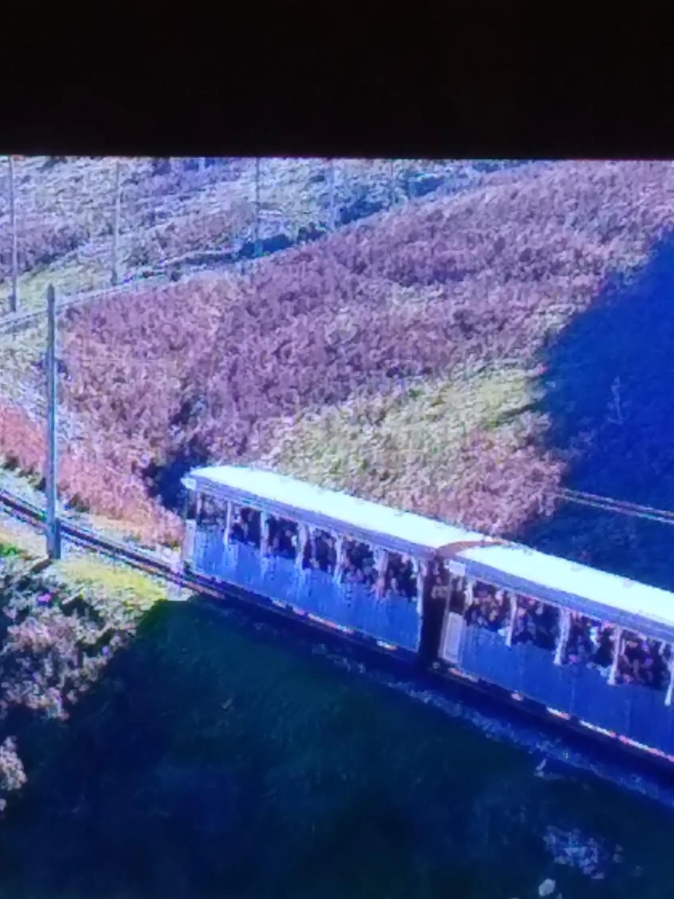 Natural landscape in Hôtel Camou