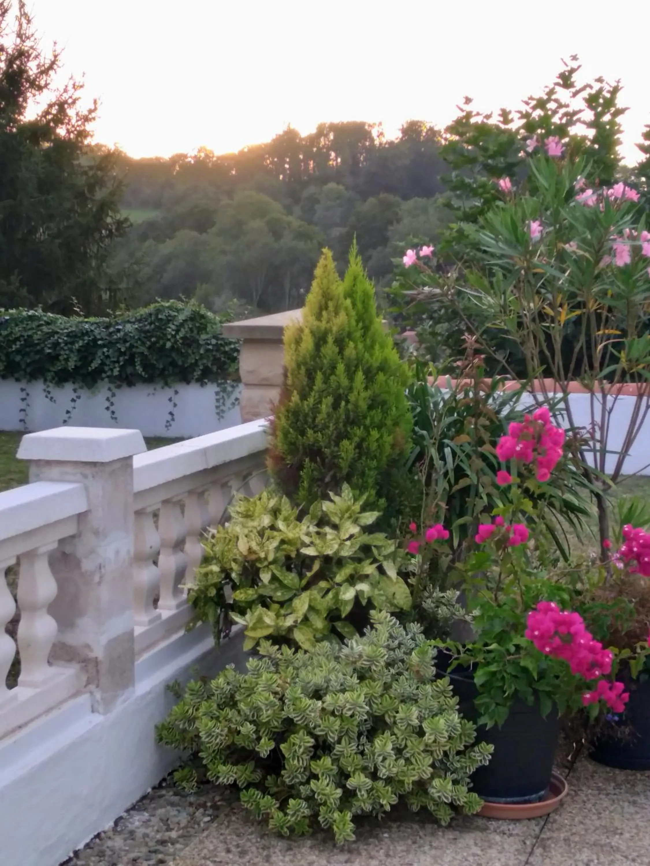 Garden view in Hôtel Camou