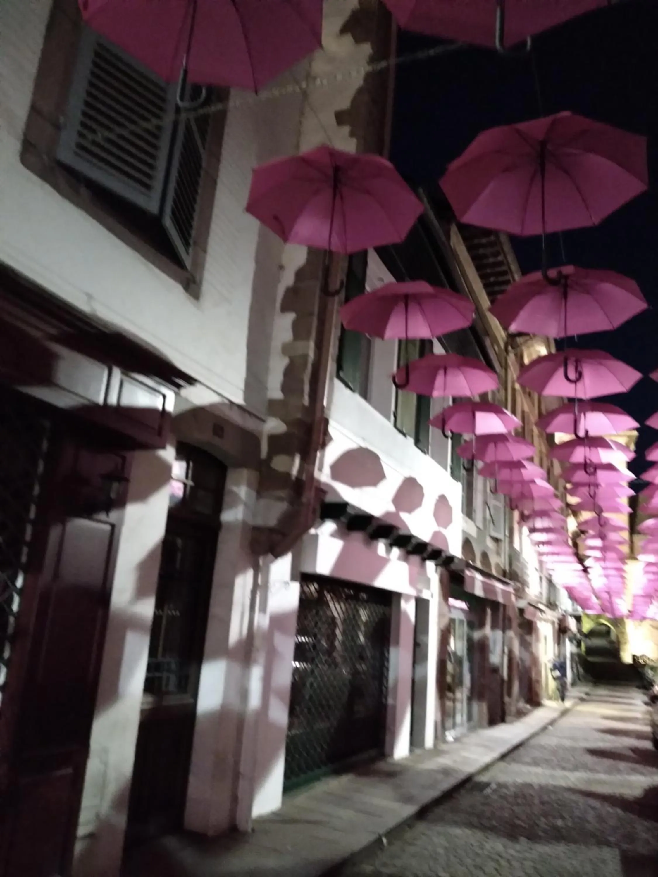 Neighbourhood in Hôtel Camou