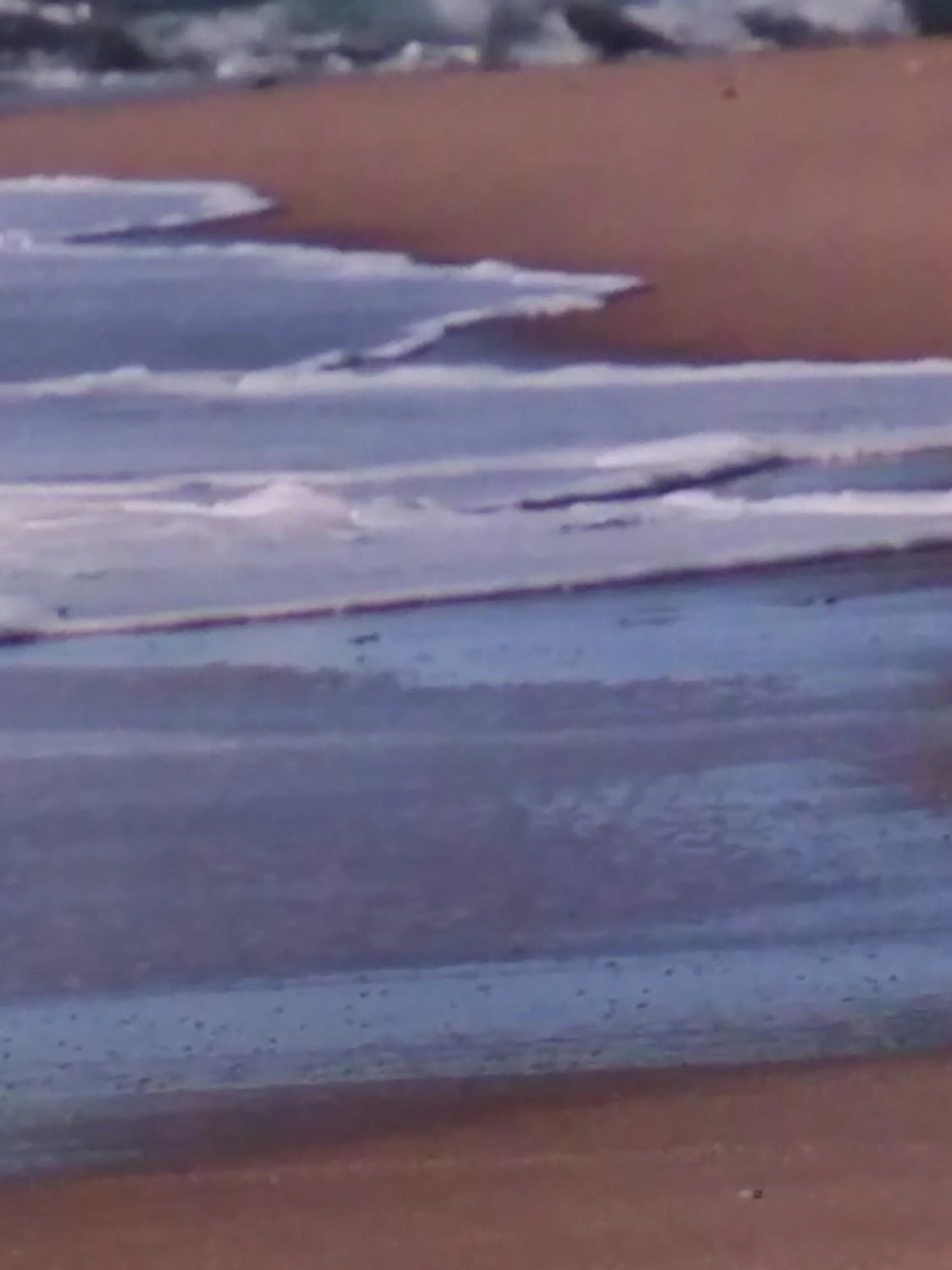 Beach in Hôtel Camou