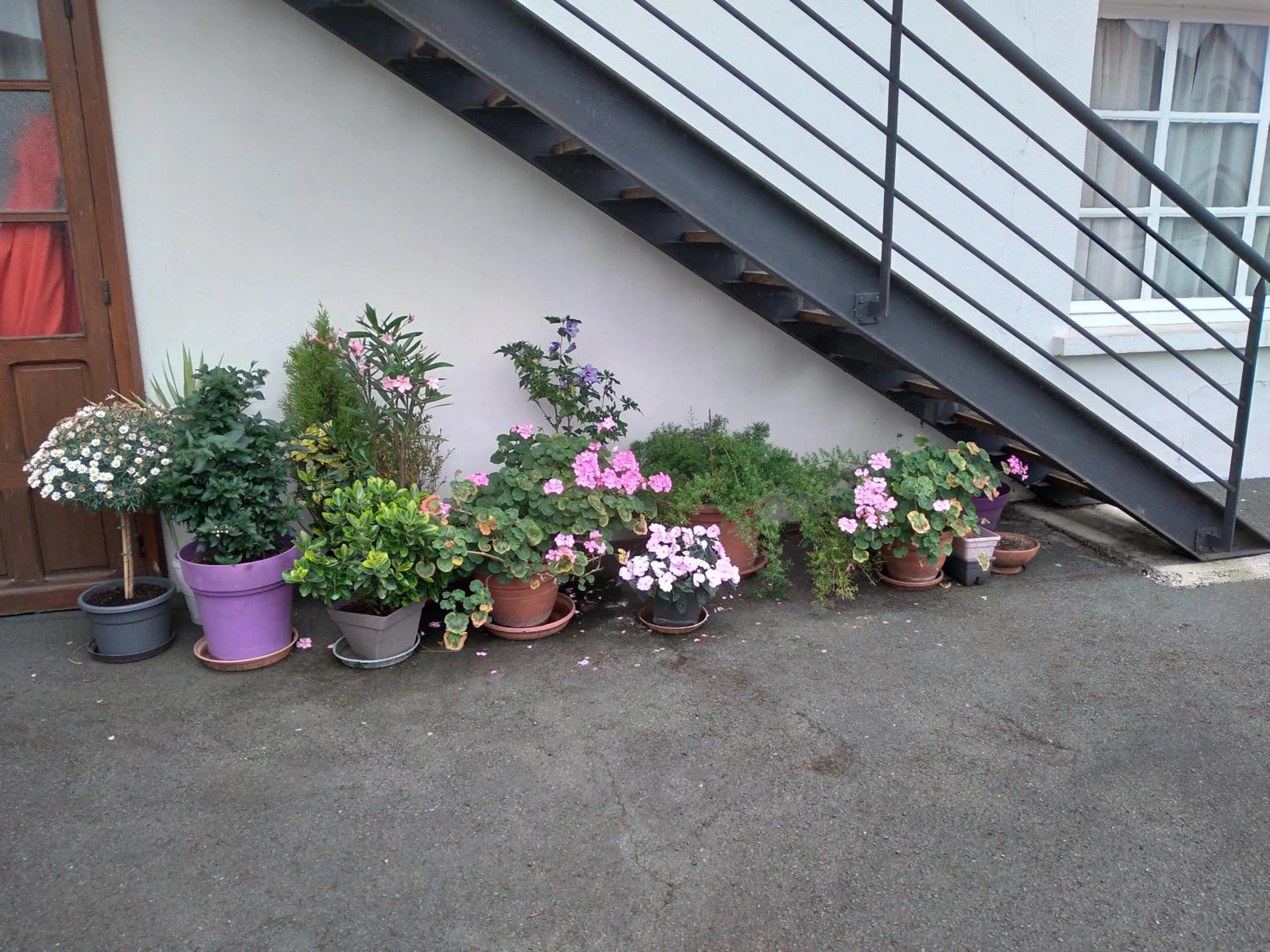 Property building in Hôtel Camou