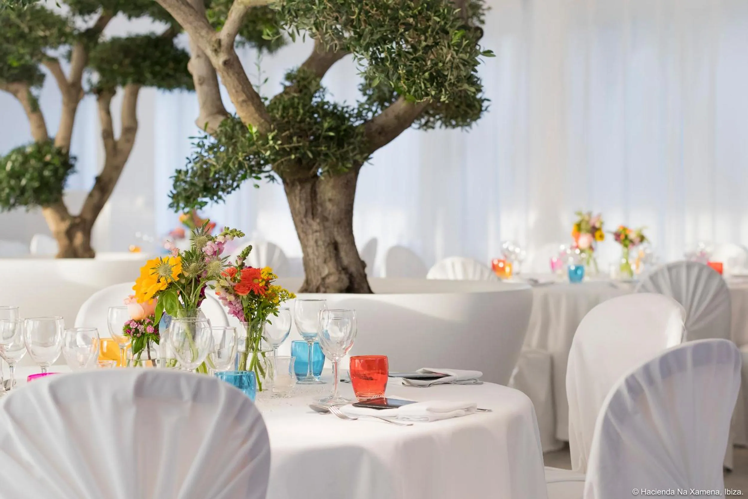 Banquet/Function facilities in Hacienda Na Xamena, Ibiza