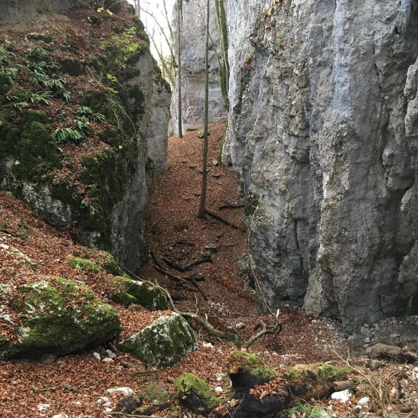 Activities in B&B de charme La Maison des 5 Temps