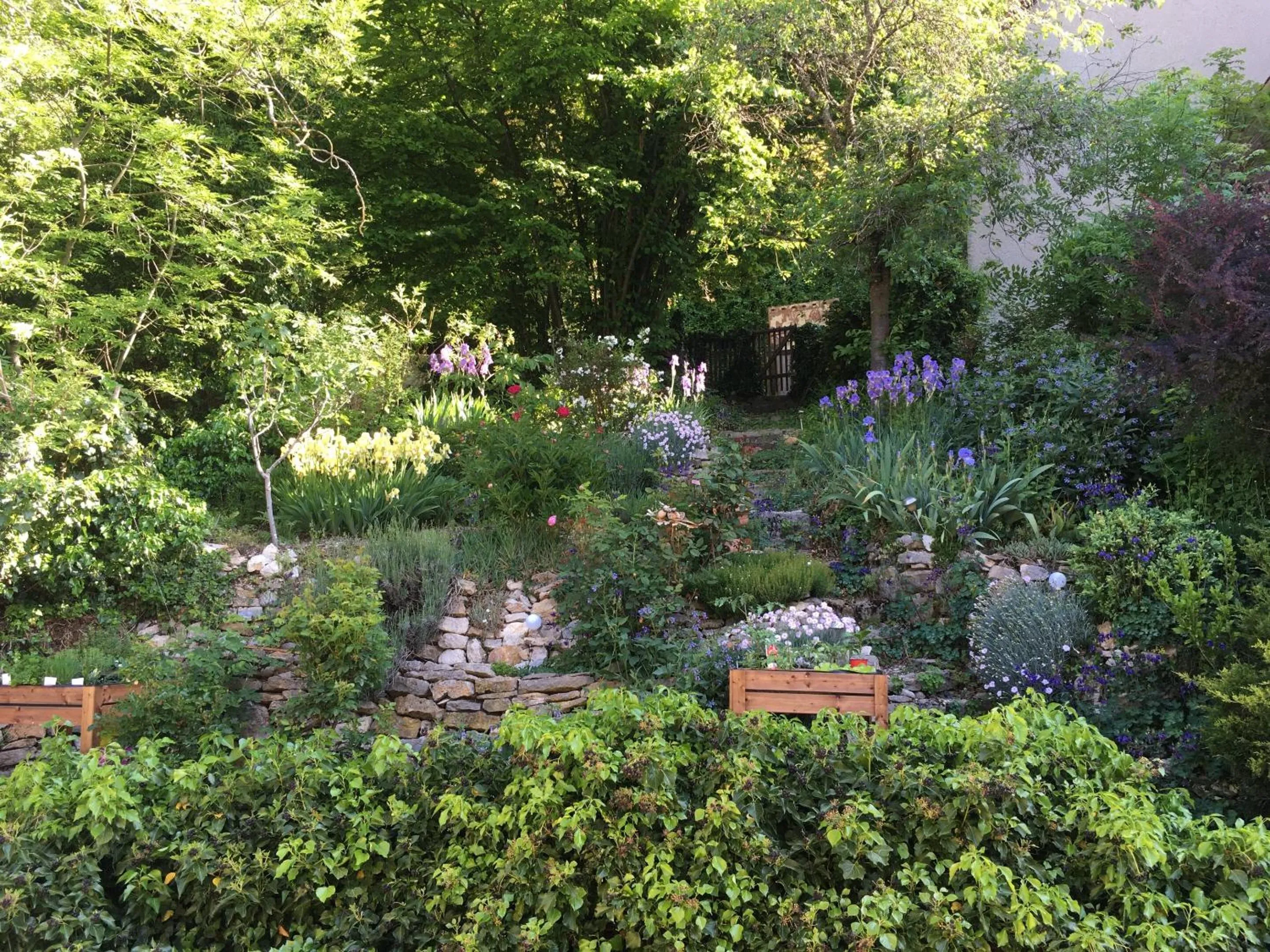 Garden in B&B de charme La Maison des 5 Temps