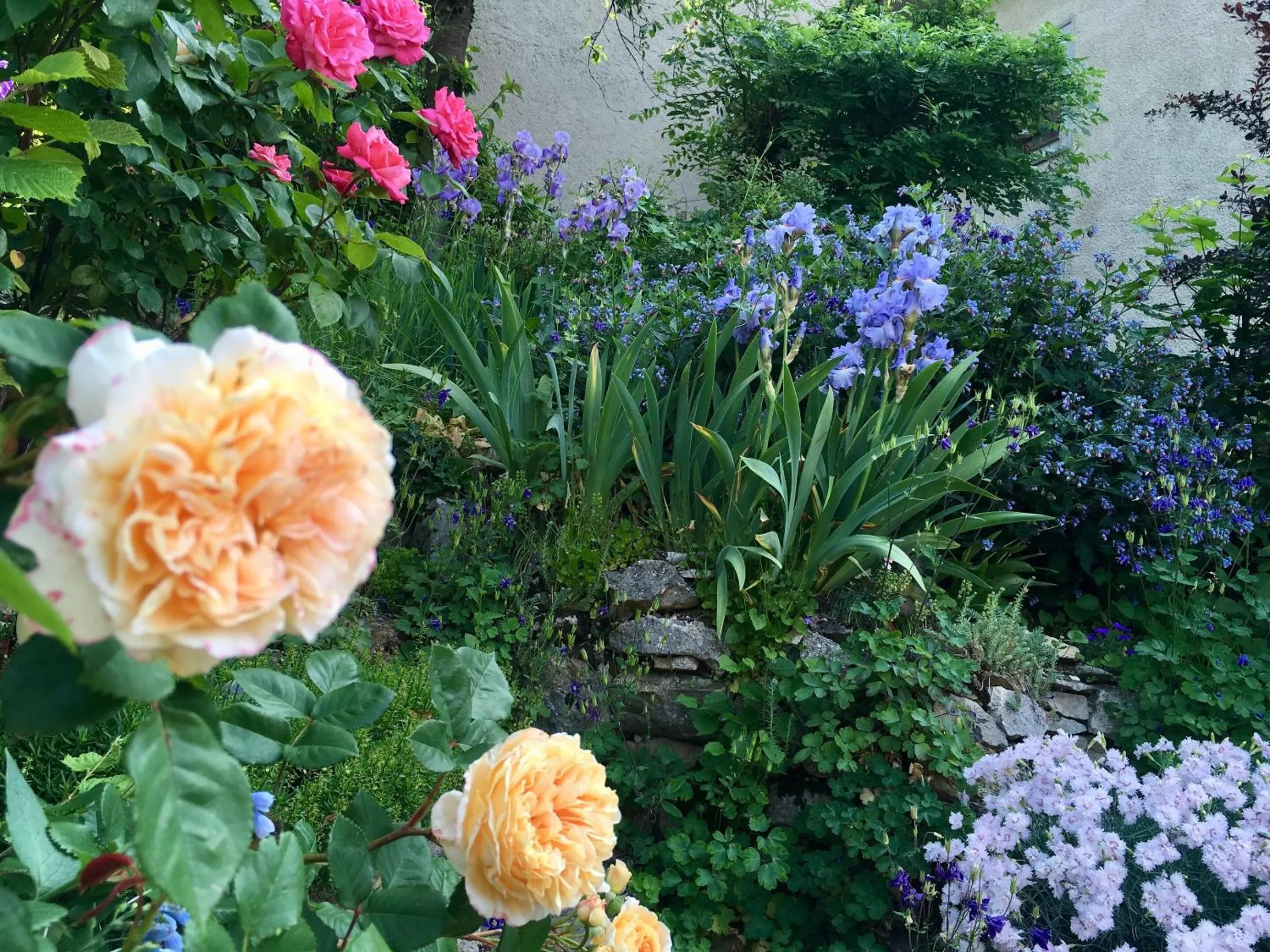 Garden in B&B de charme La Maison des 5 Temps