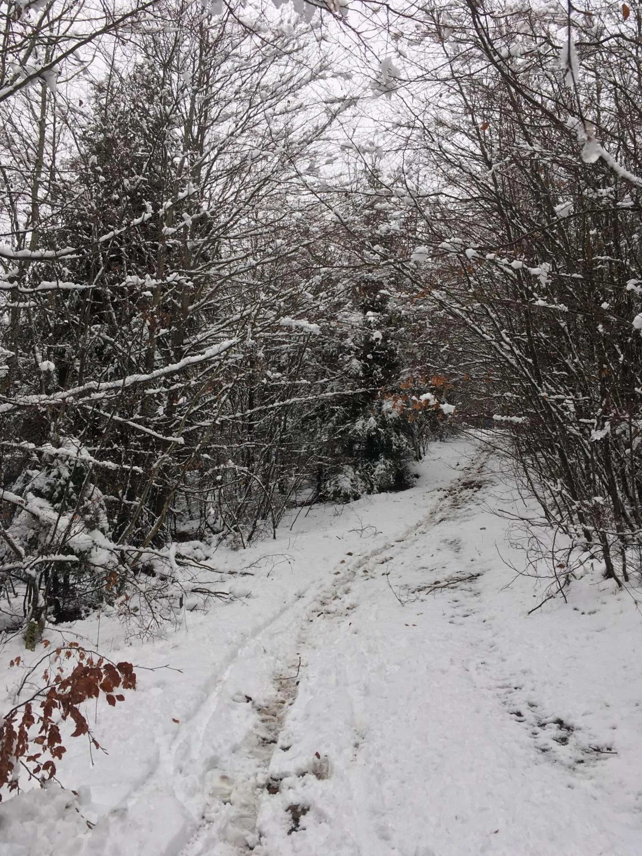 Activities in B&B de charme La Maison des 5 Temps