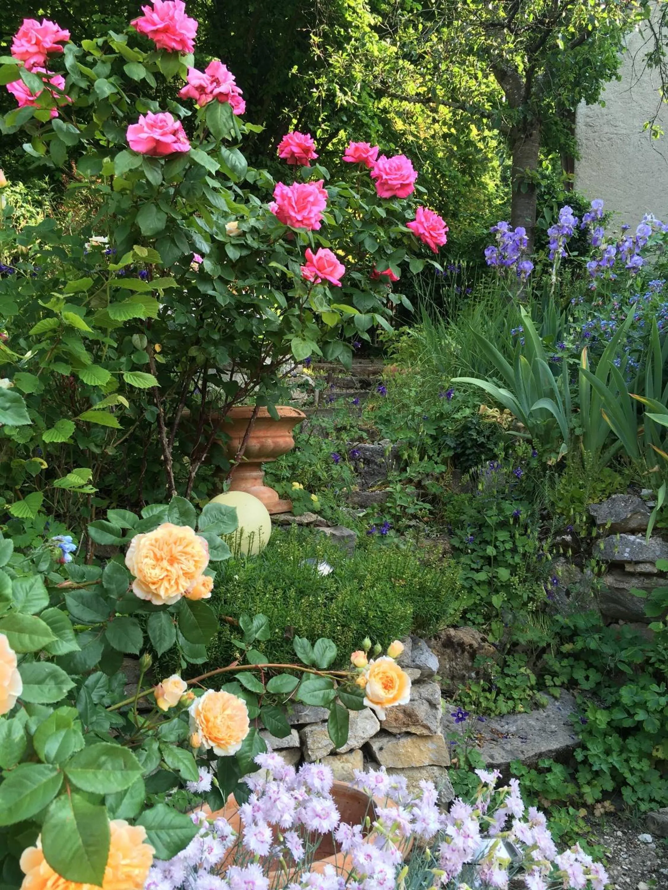 Garden in B&B de charme La Maison des 5 Temps