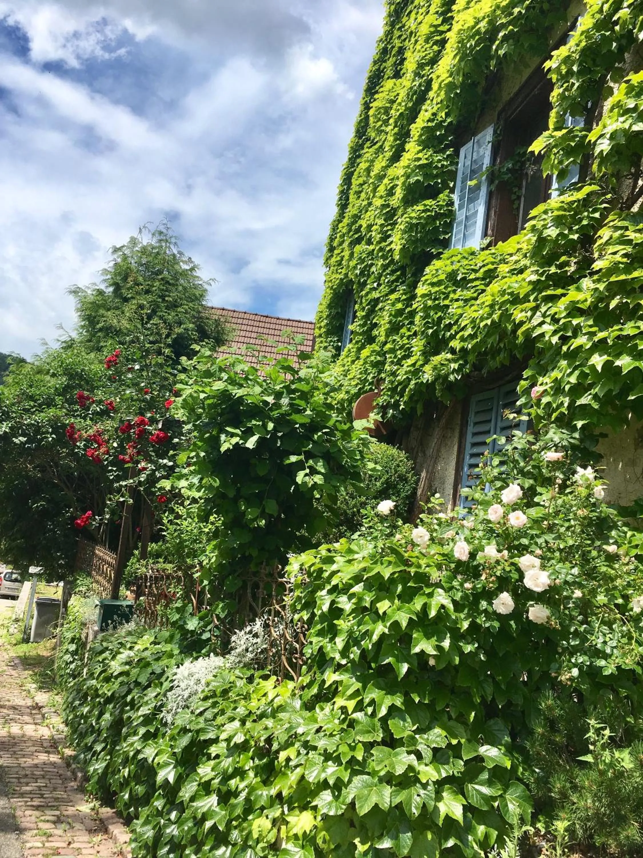 View (from property/room) in B&B de charme La Maison des 5 Temps
