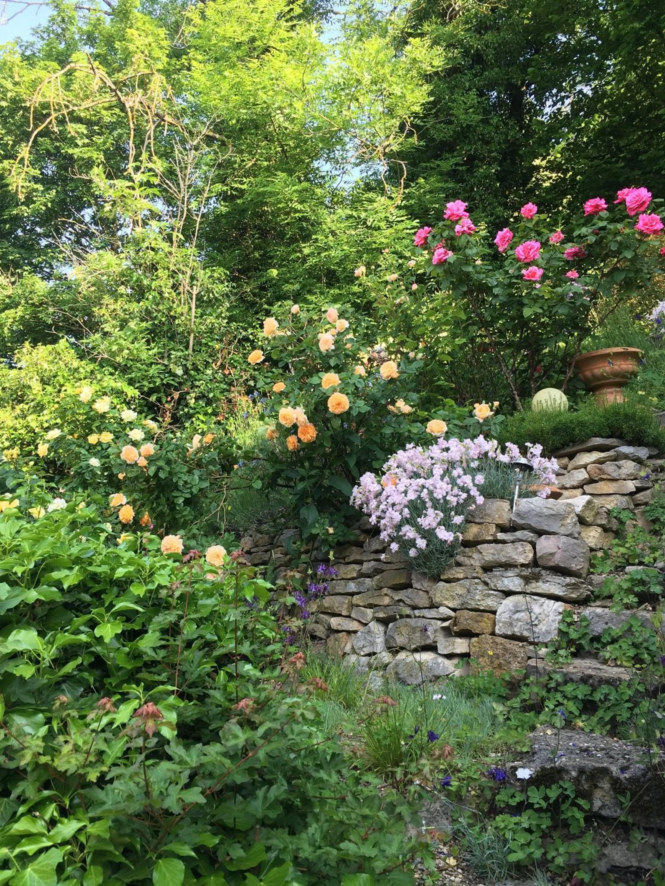Garden in B&B de charme La Maison des 5 Temps
