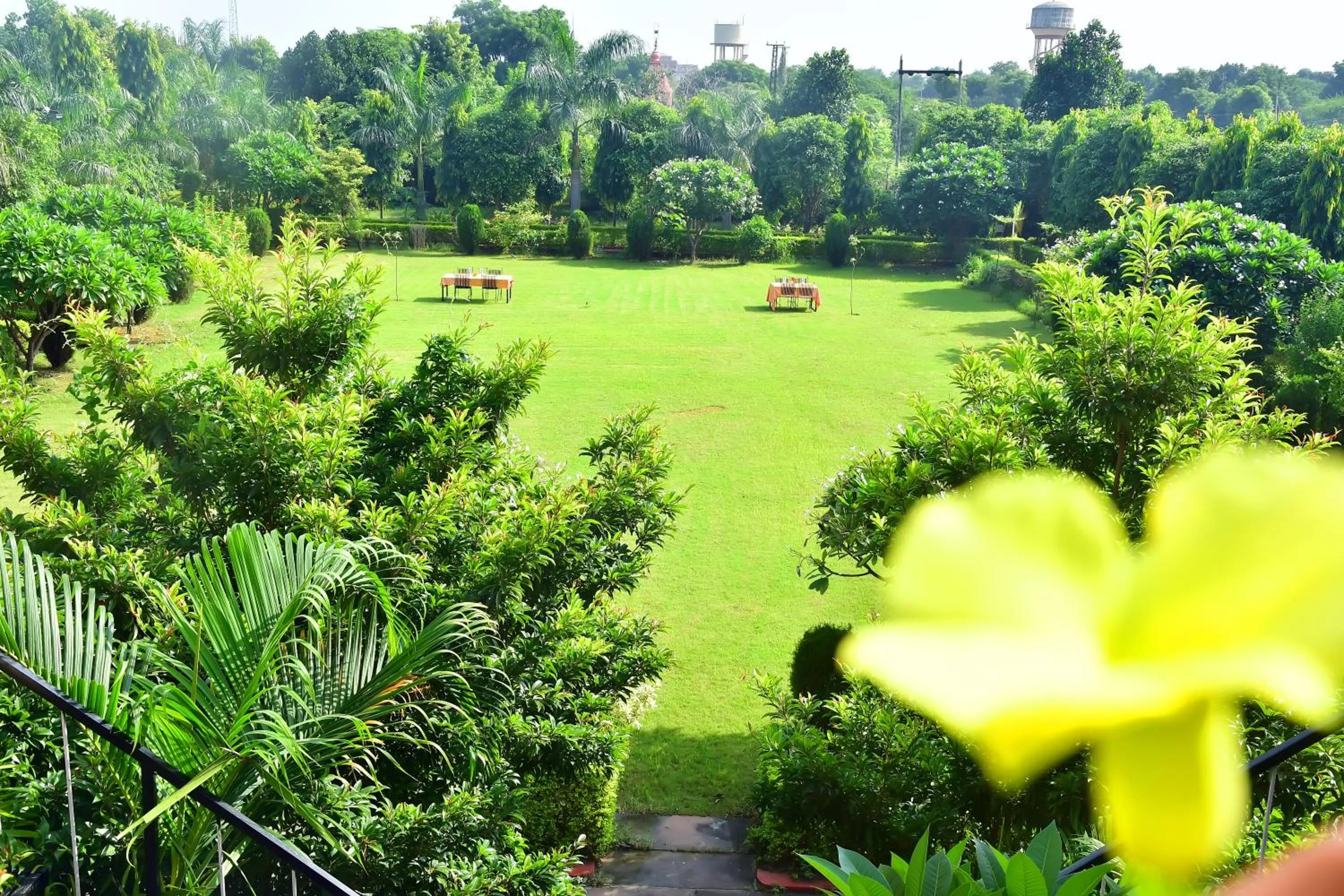 Spring in Motibagh Resort