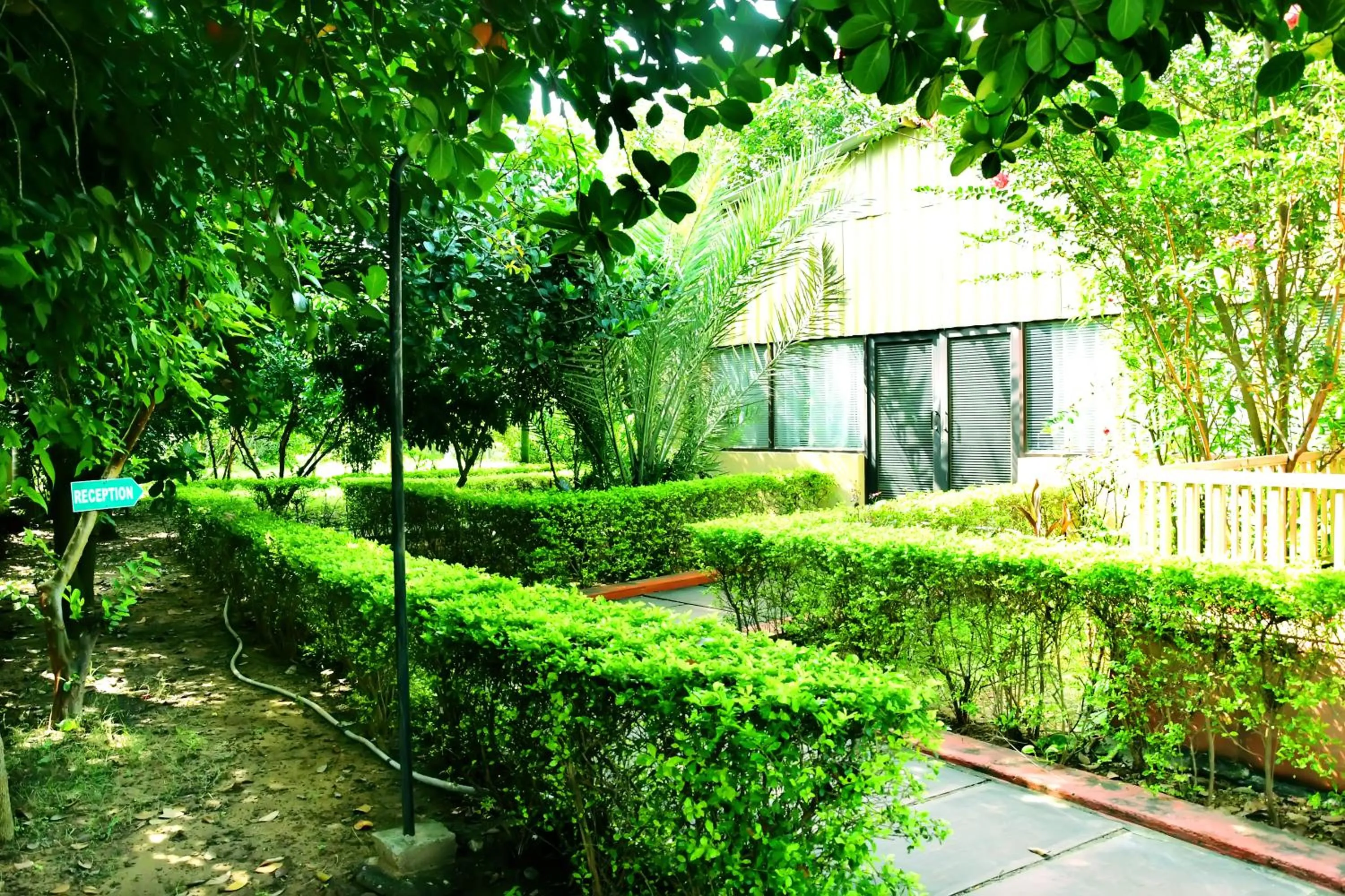 Natural landscape in Motibagh Resort