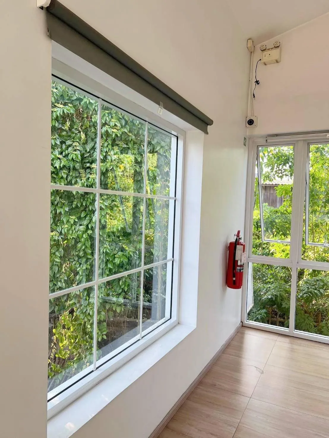 Garden in Nornnuea @ Inthanon