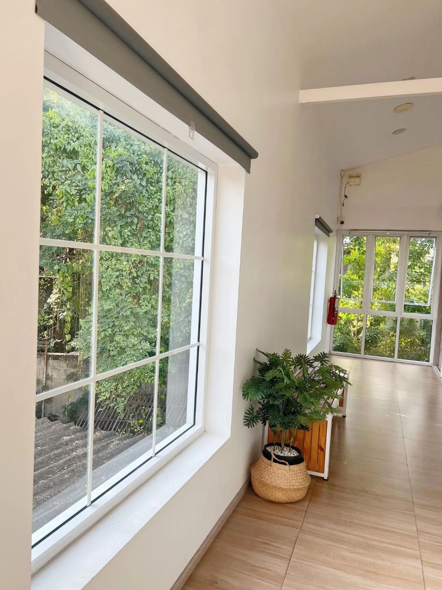 Garden in Nornnuea @ Inthanon