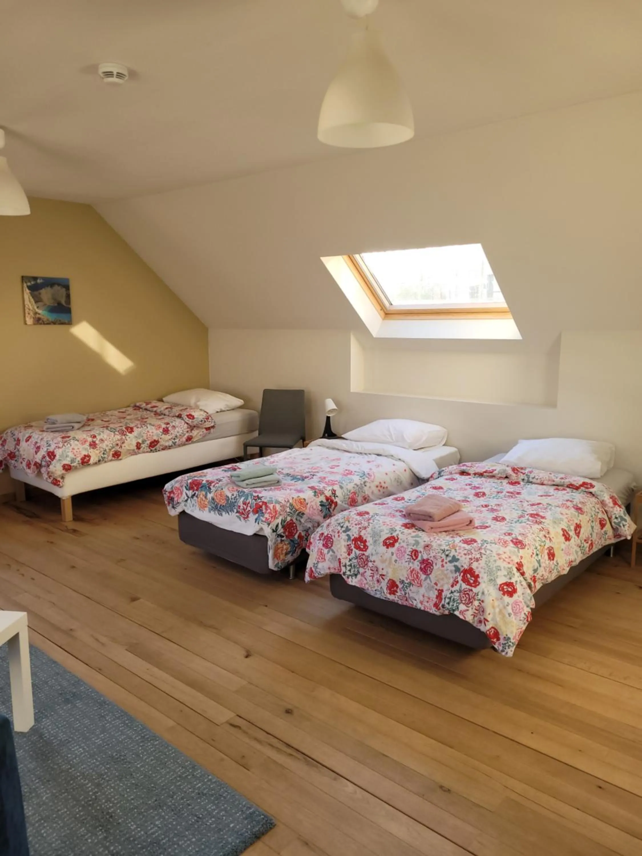 Bed in B&B Molen Ter Walle