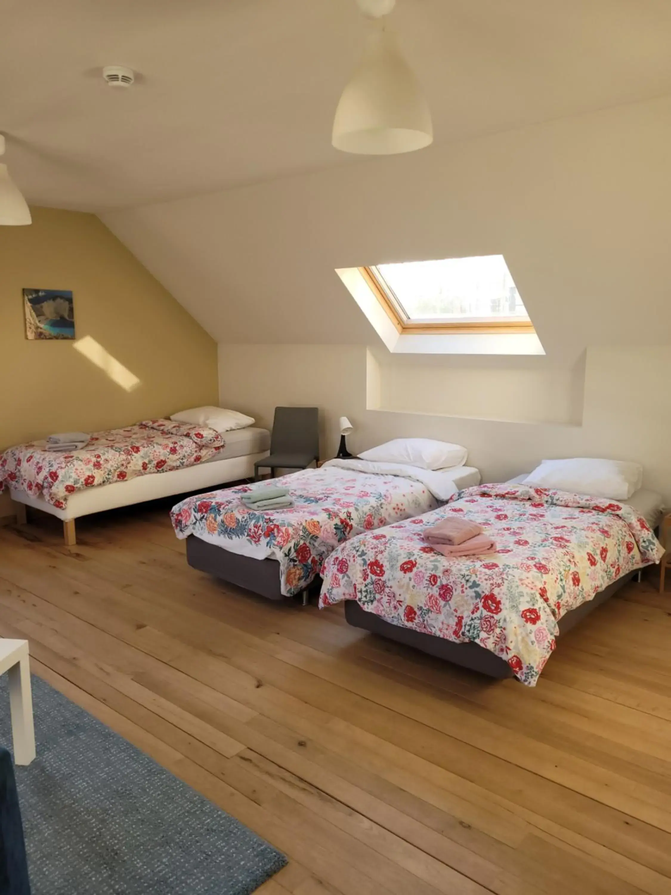 Family Room with Private Bathroom - single occupancy in B&B Molen Ter Walle Family Room with Private Bathroom - single occupancy in B&B Molen Ter Walle