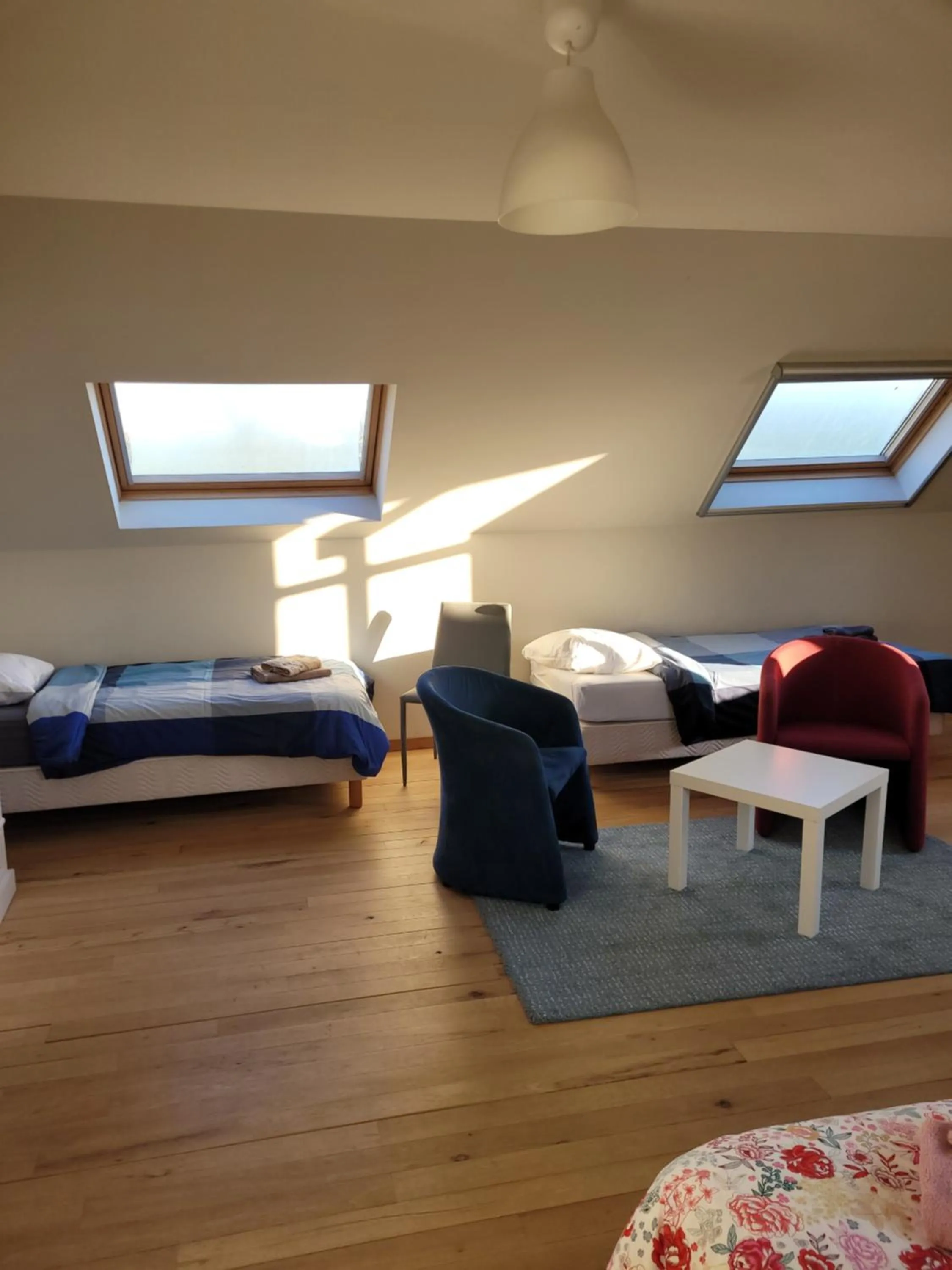 Seating area, Bed in B&B Molen Ter Walle