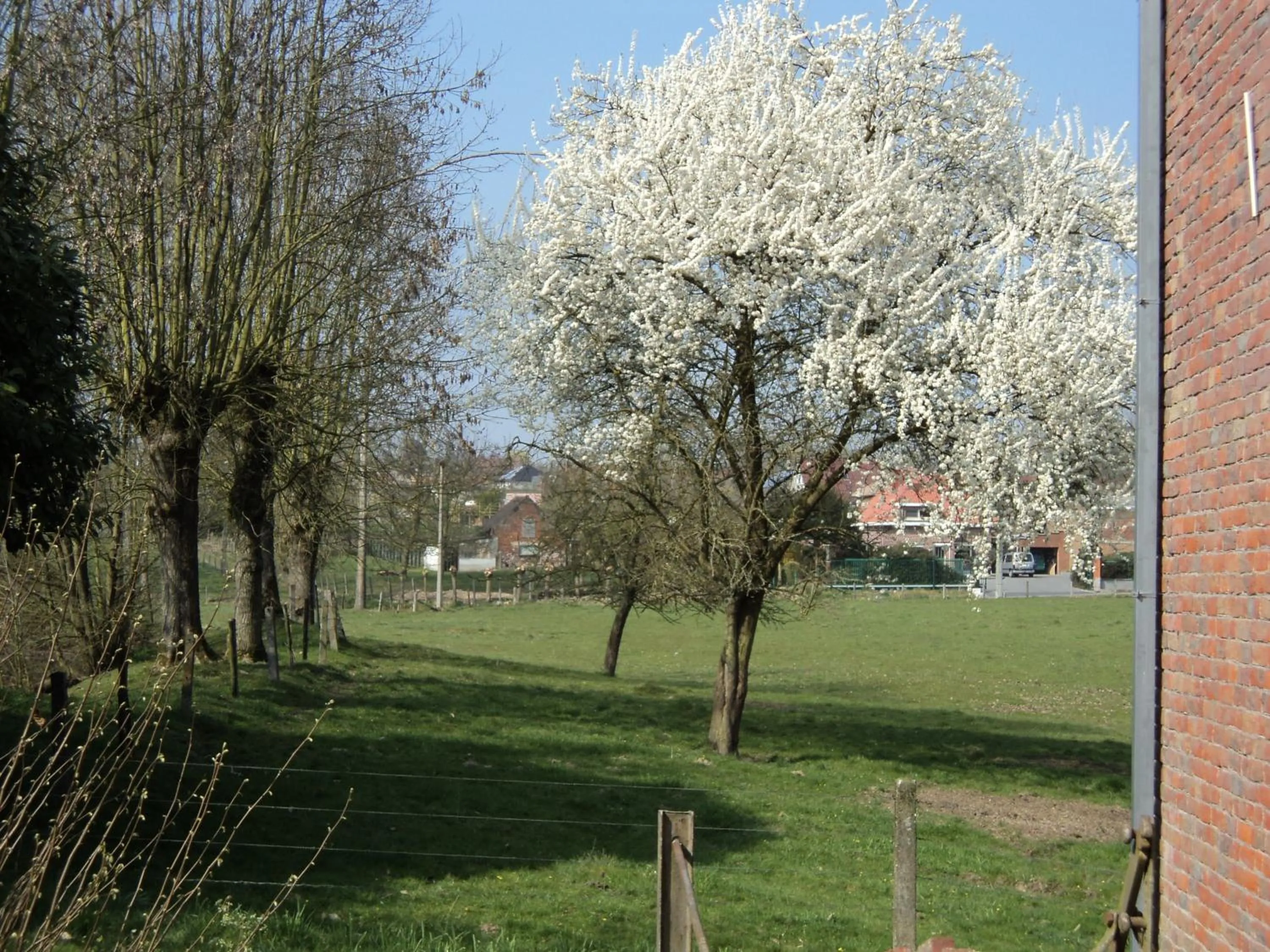 Garden in B&B Molen Ter Walle