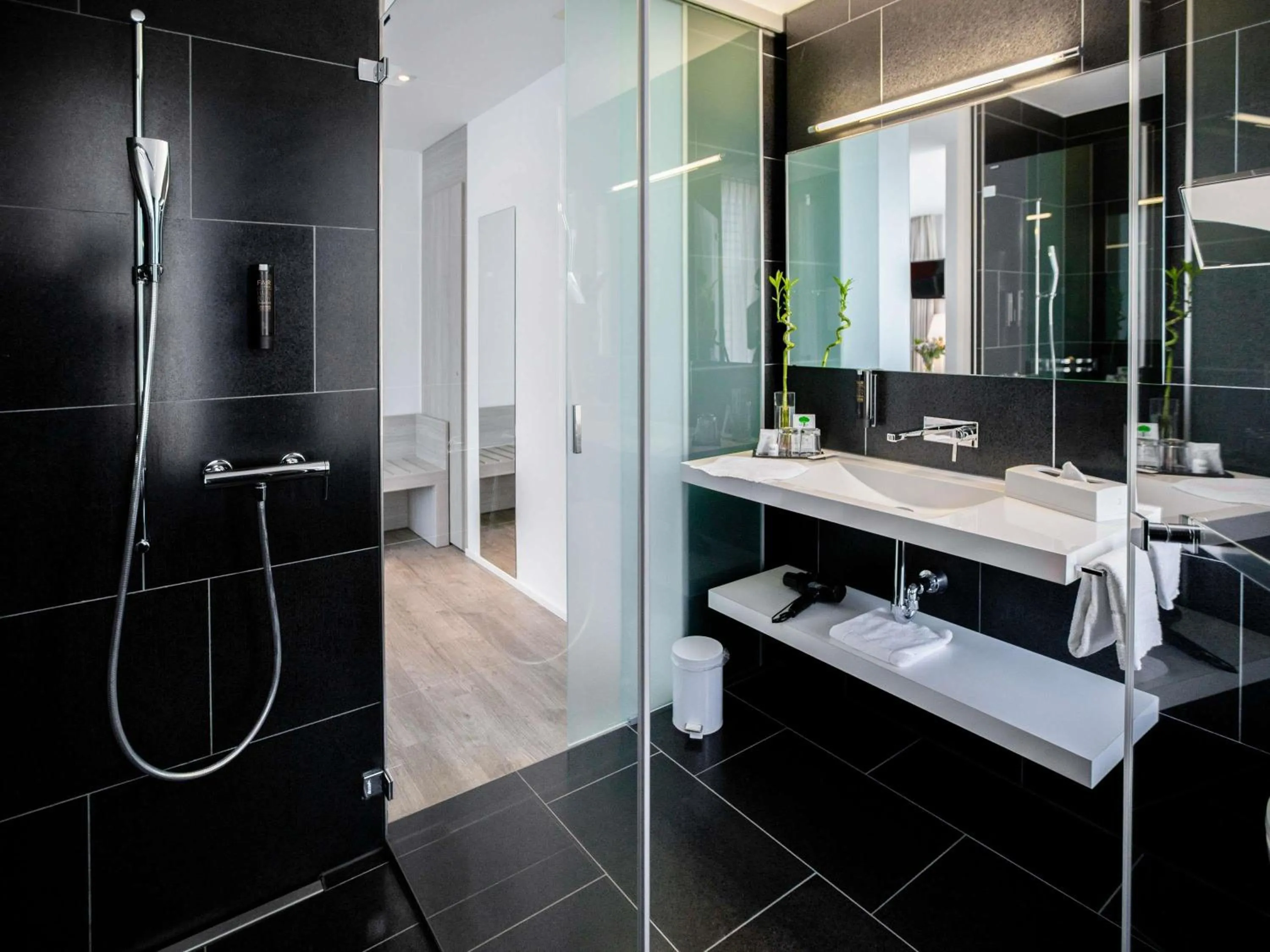 Property building in Mercure Chur City West