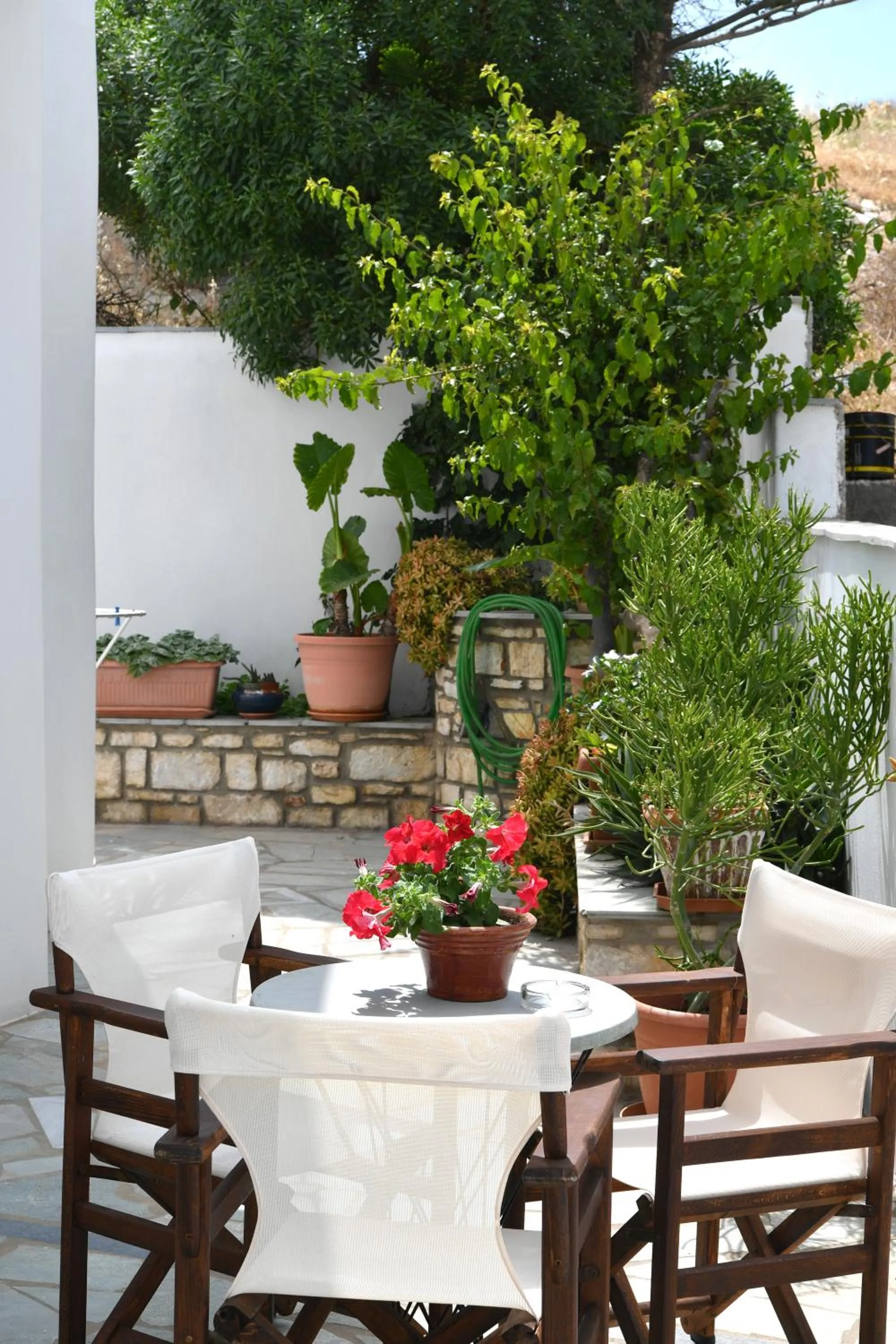 Hara Studios and Apartments