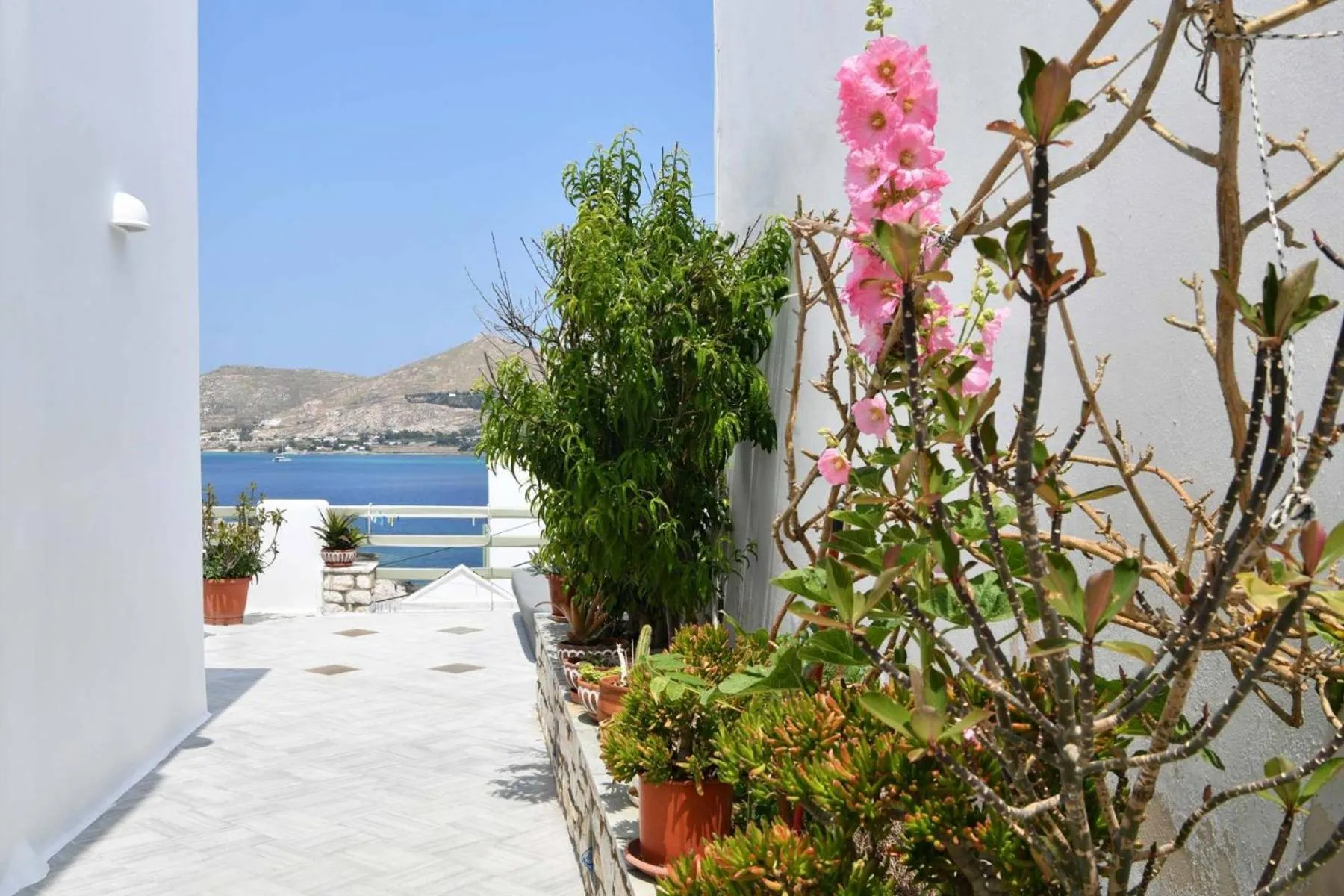 Hara Studios and Apartments