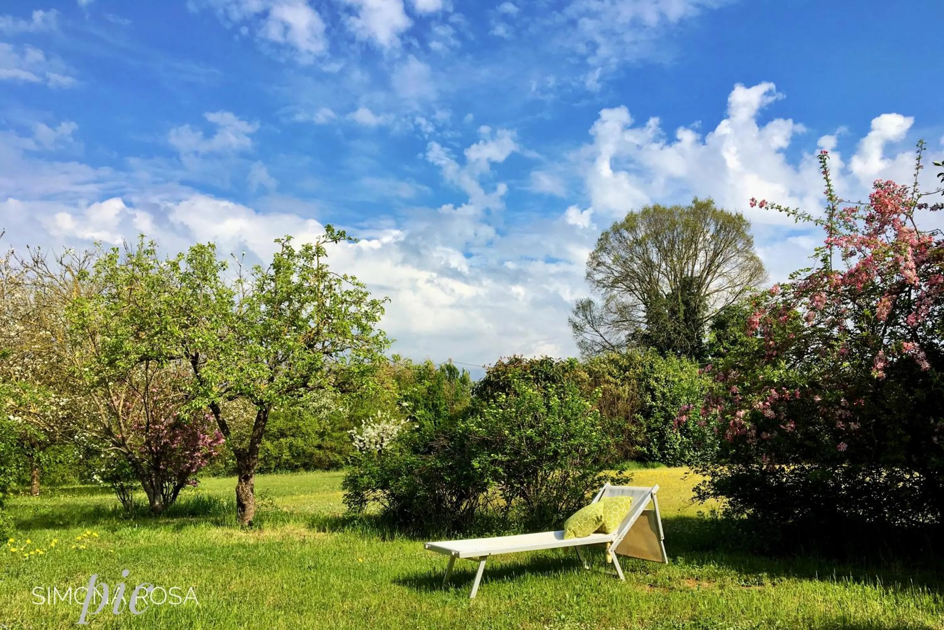 Garden in Villa Manto