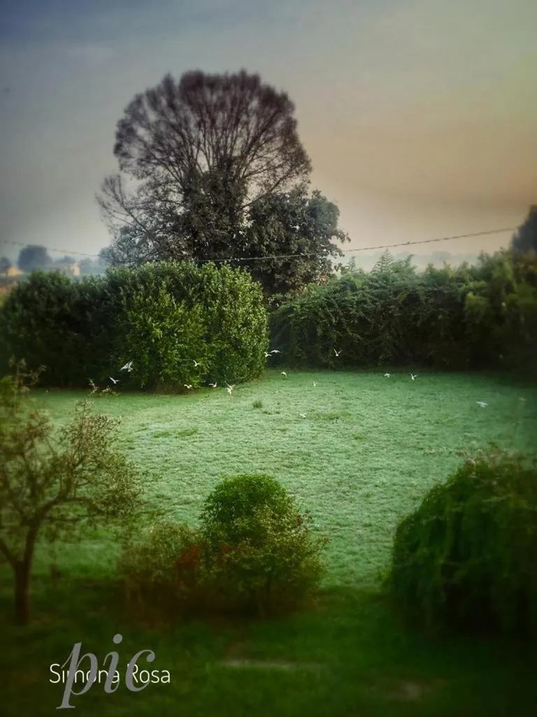 Natural landscape in Villa Manto