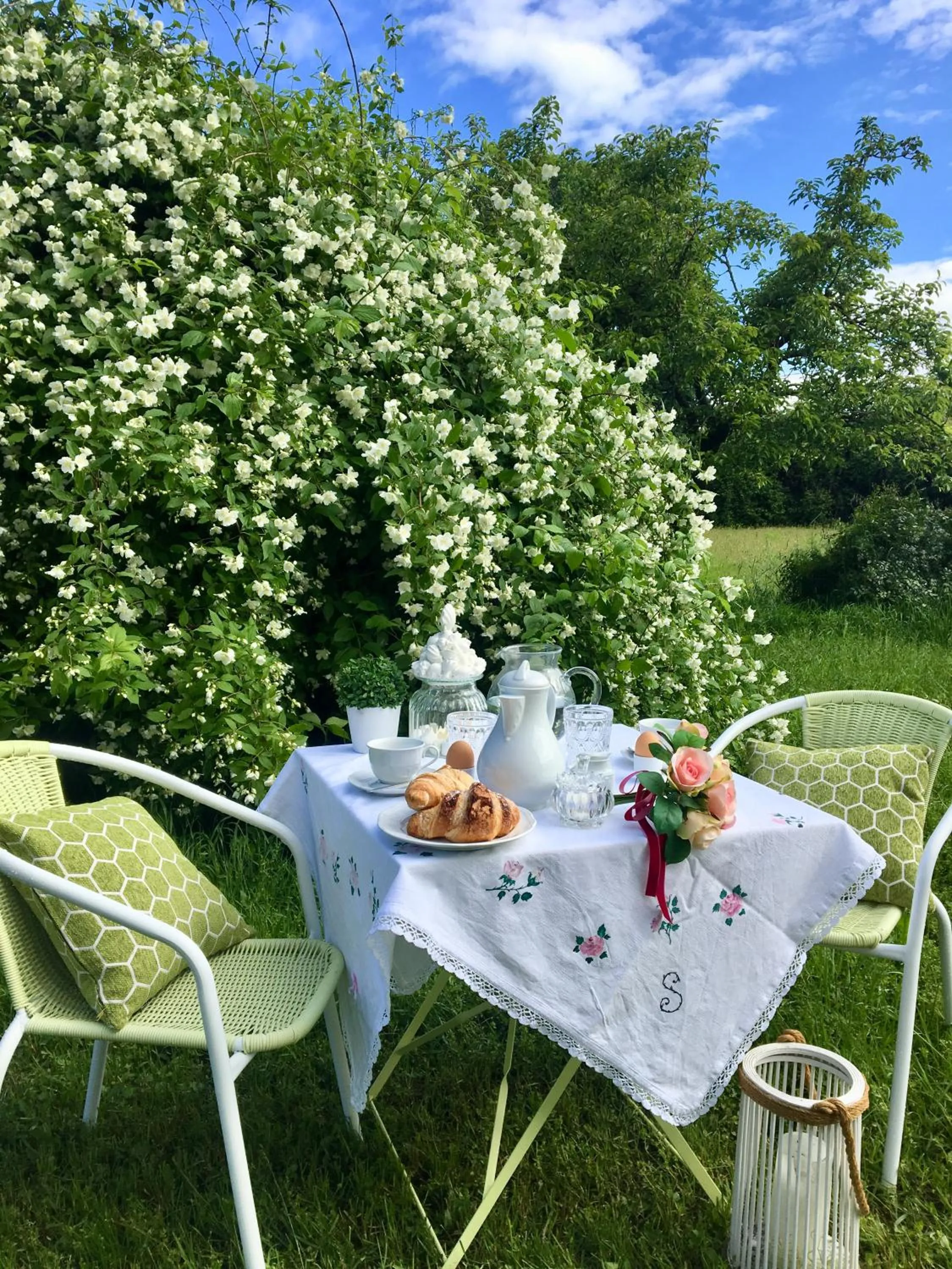 Garden in Villa Manto