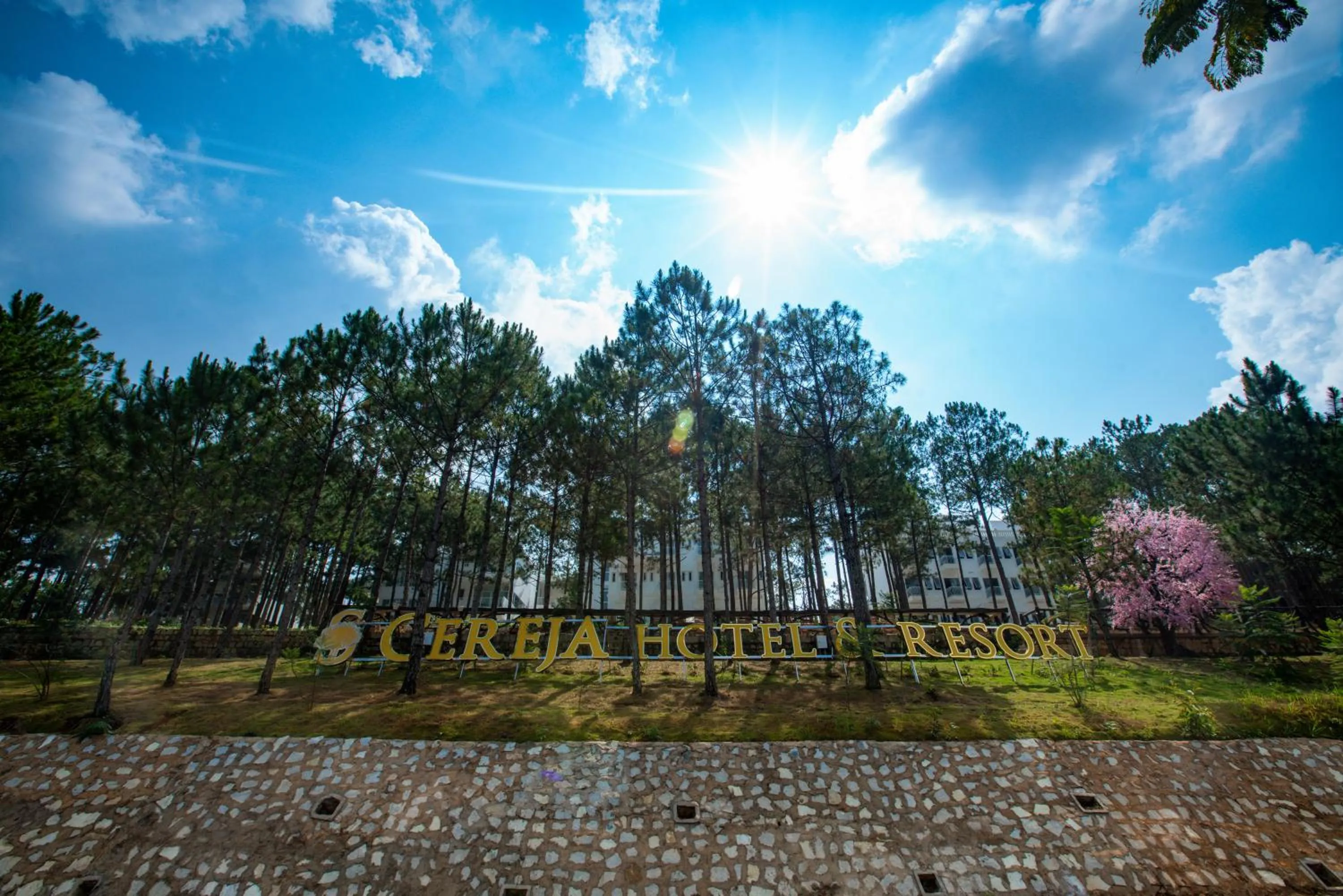 Property logo or sign in CEREJA Hotel & Resort Dalat