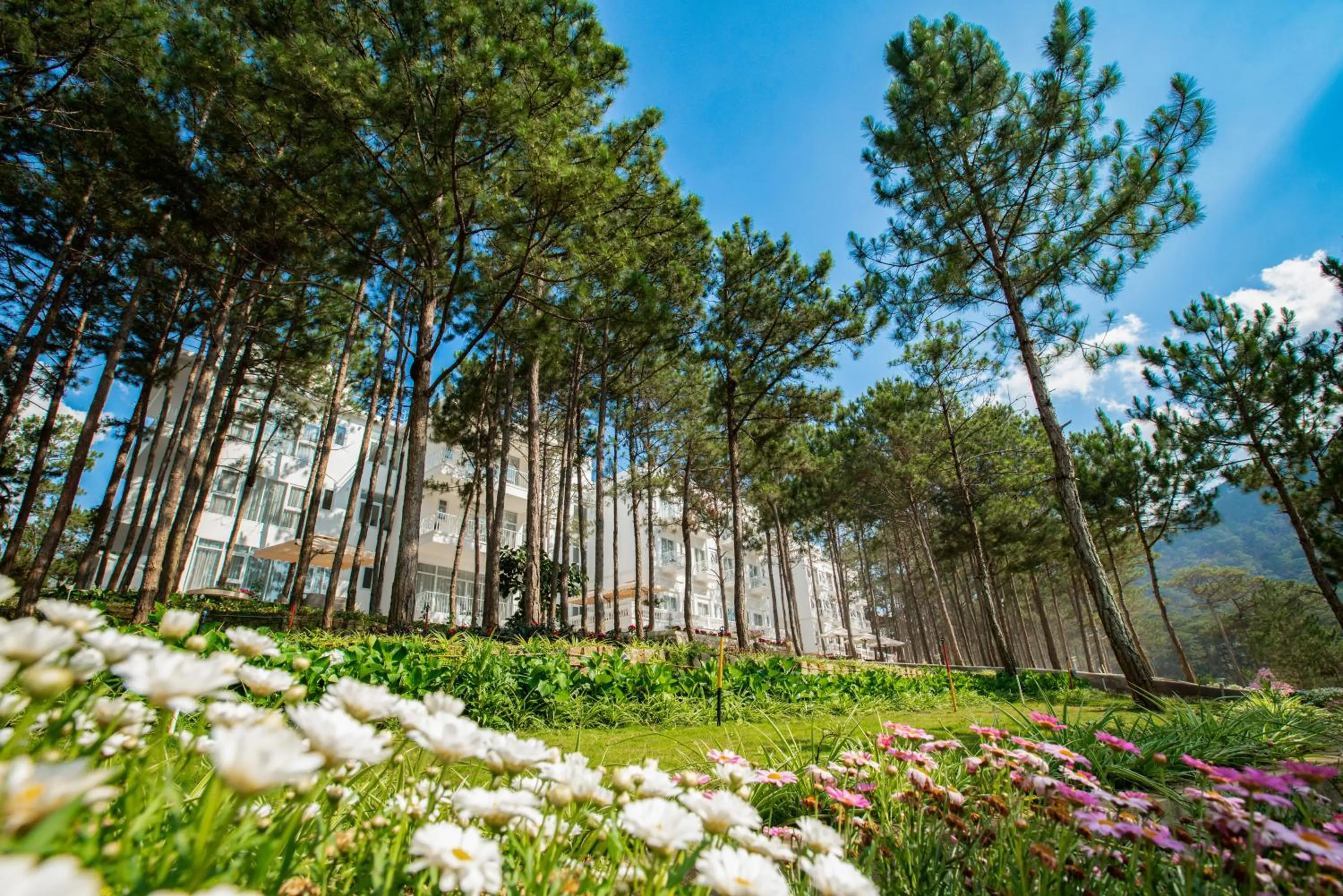 Natural landscape in CEREJA Hotel & Resort Dalat