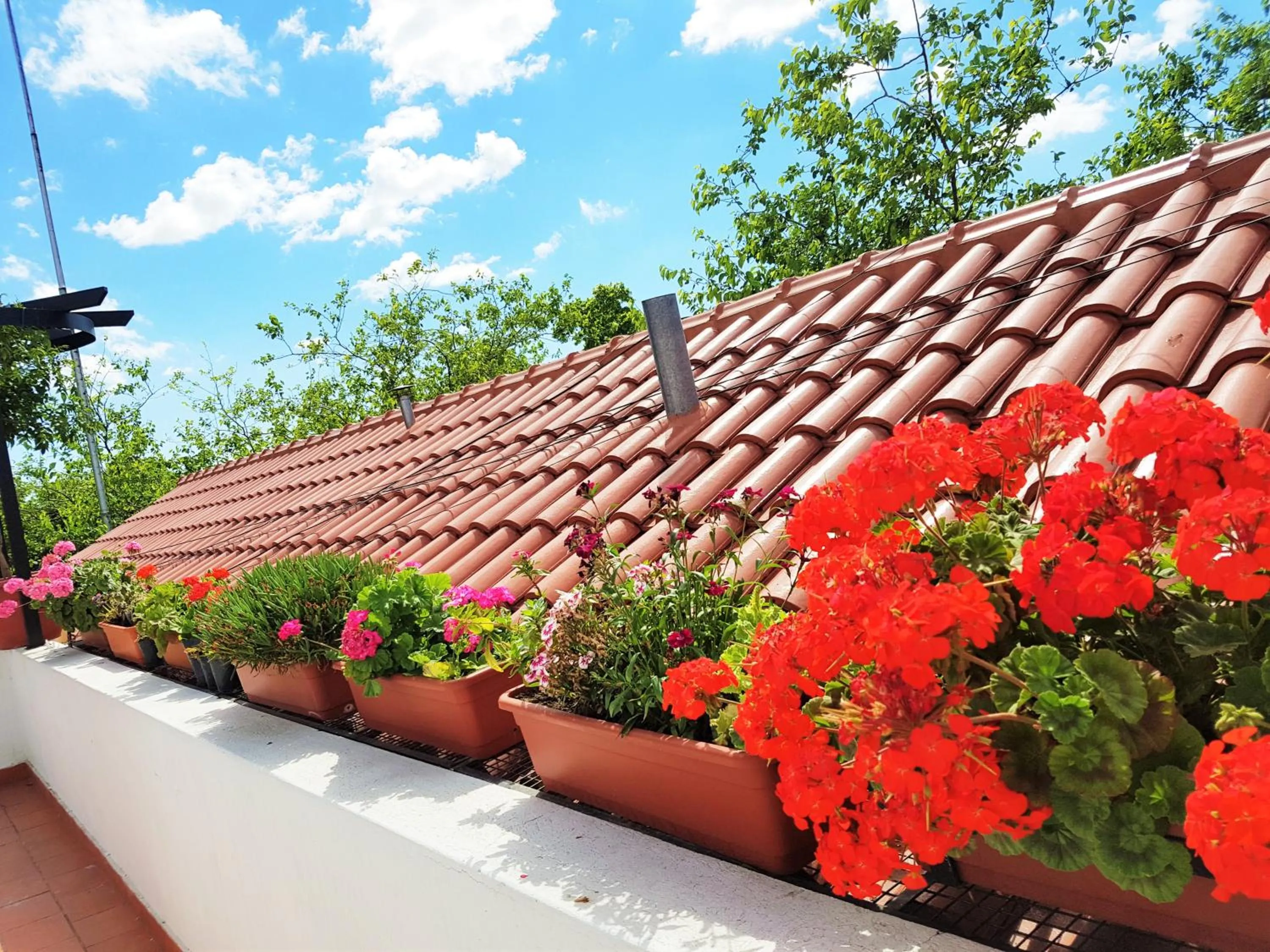 Property building in Azul Departamentos